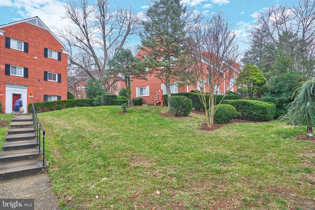 3517 MARTHA CUSTIS DR