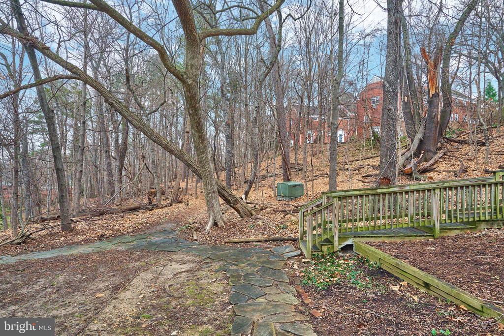 3517 MARTHA CUSTIS DR