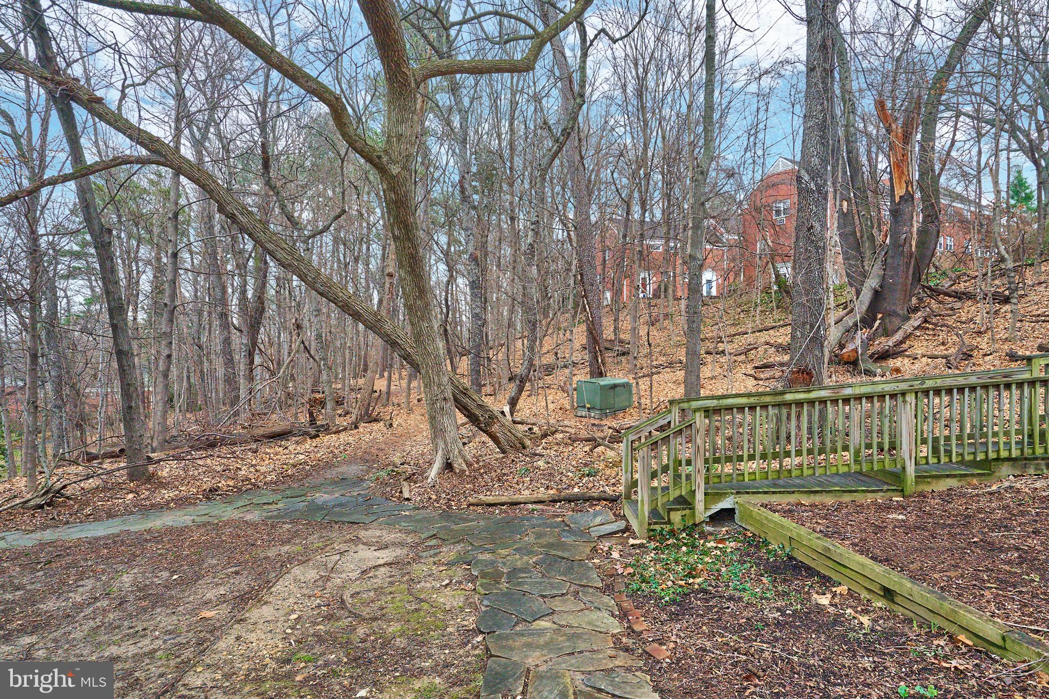 3517 MARTHA CUSTIS DR