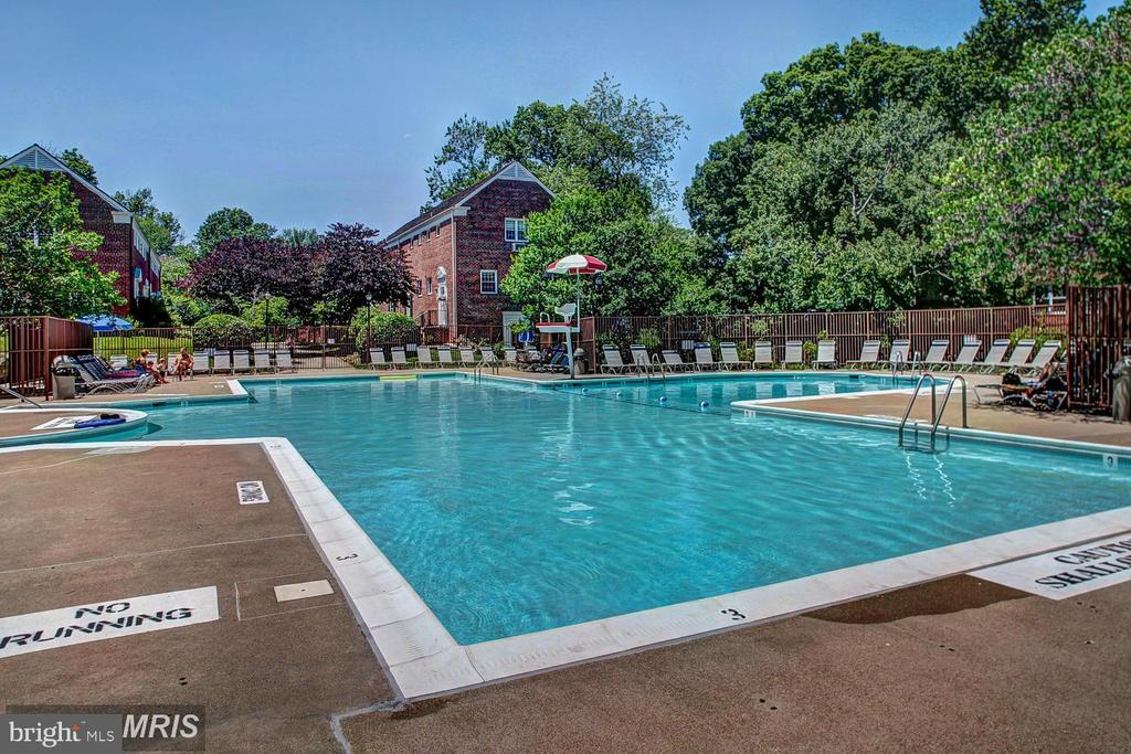 3254 Martha Custis Dr