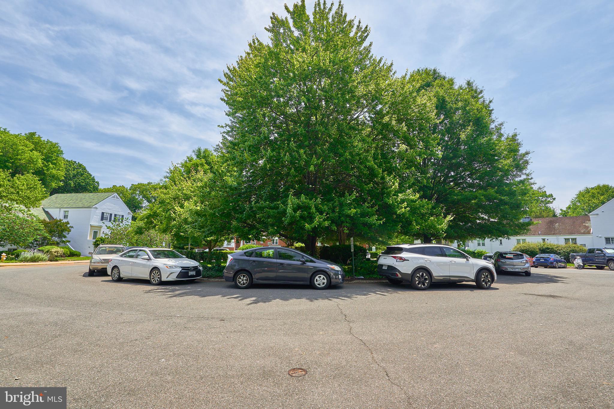 1553 MOUNT EAGLE PLACE