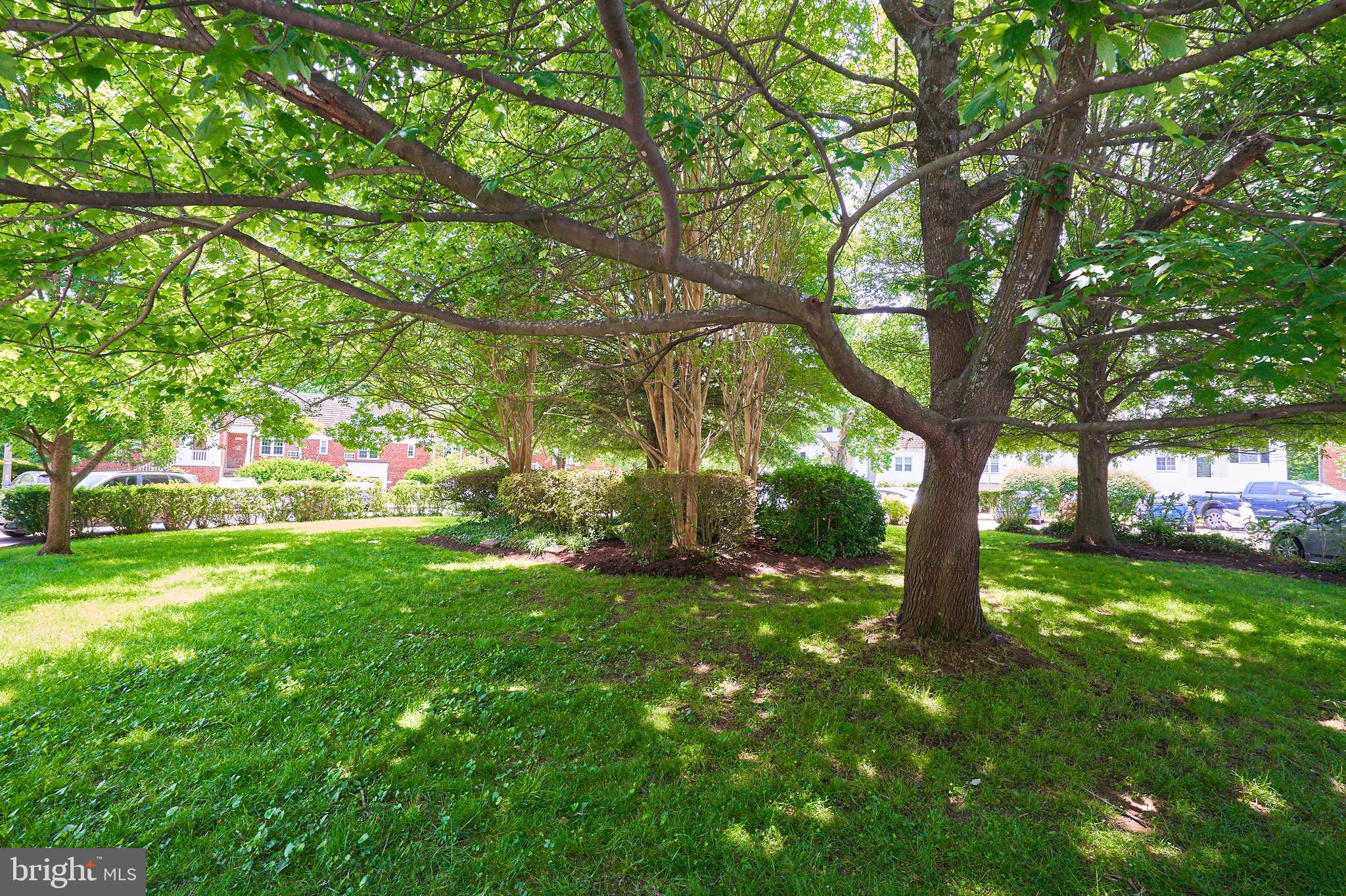 1553 MOUNT EAGLE PLACE