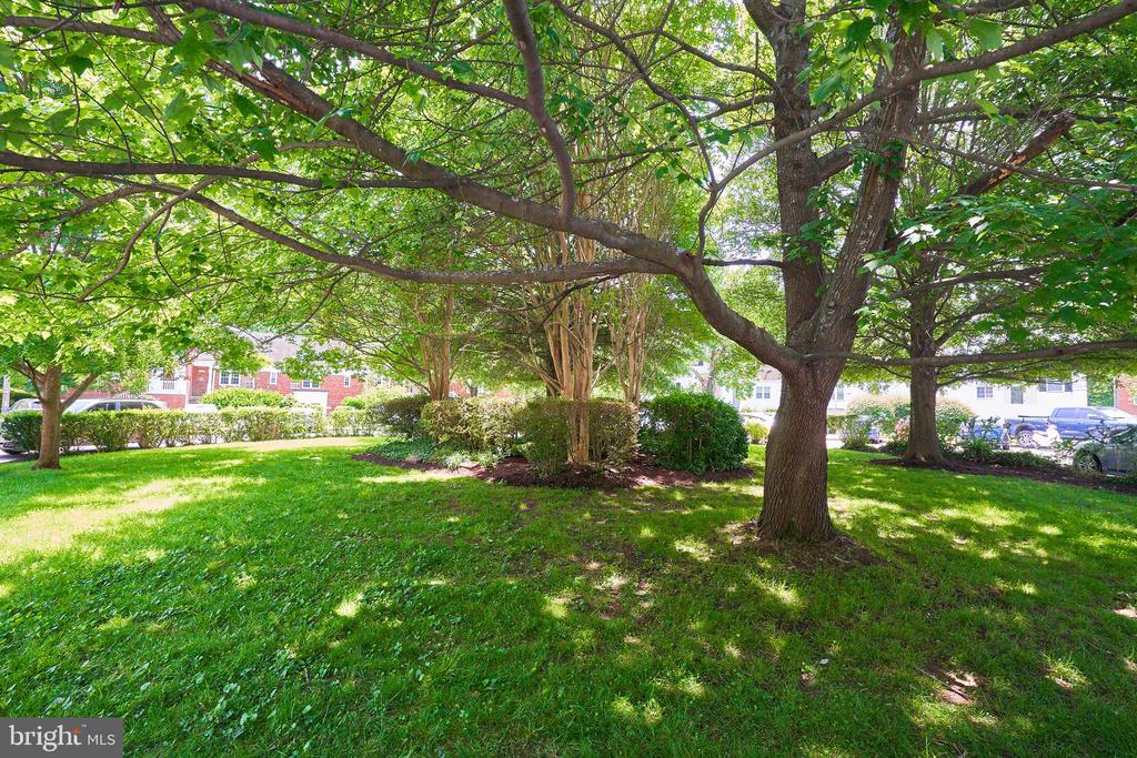 1553 MOUNT EAGLE PLACE