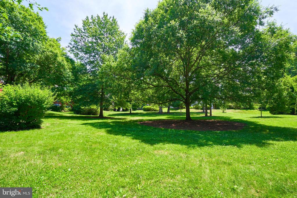 1553 MOUNT EAGLE PLACE
