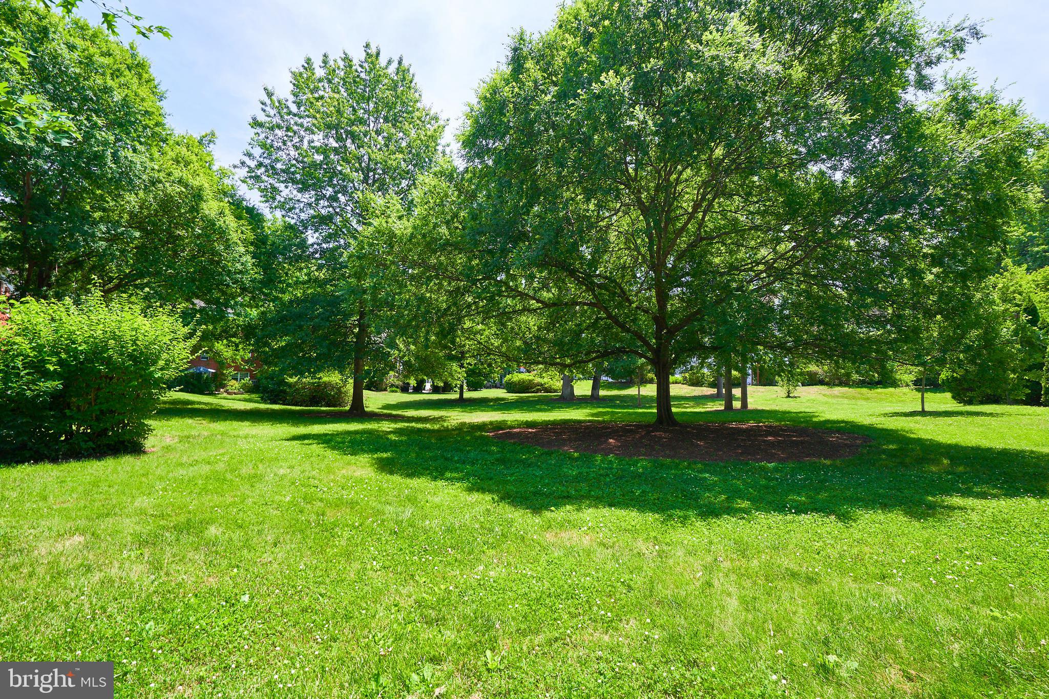 1553 MOUNT EAGLE PLACE