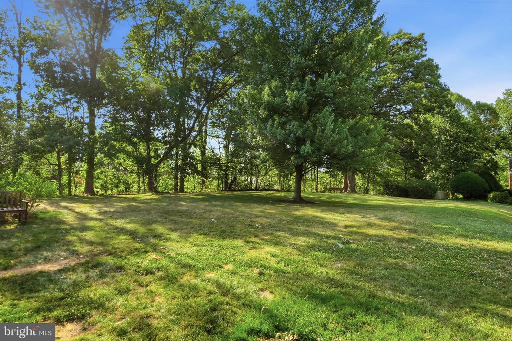 3430 MARTHA CUSTIS DRIVE