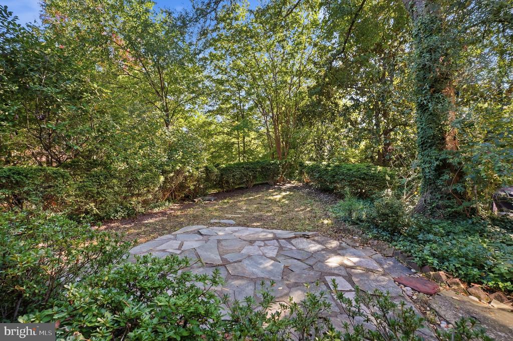 1540 MOUNT EAGLE PLACE
