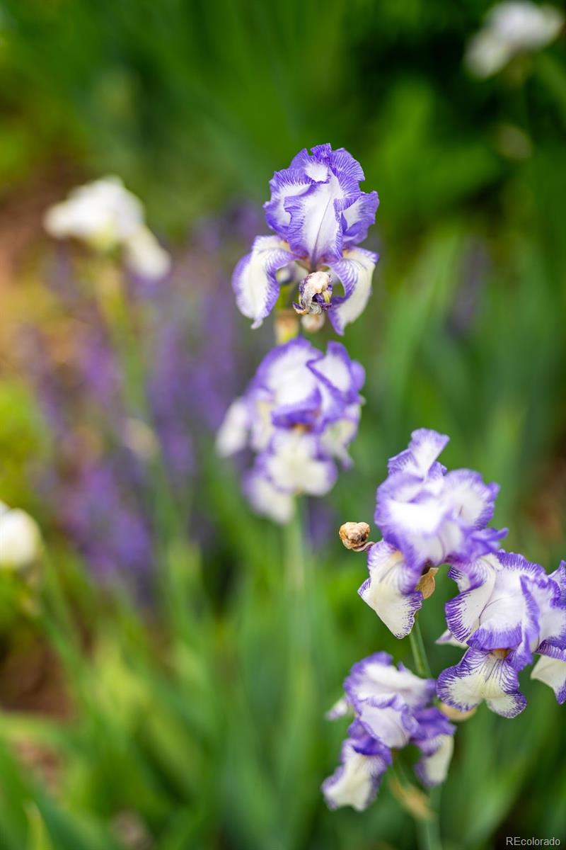 9502 W Hialeah Place