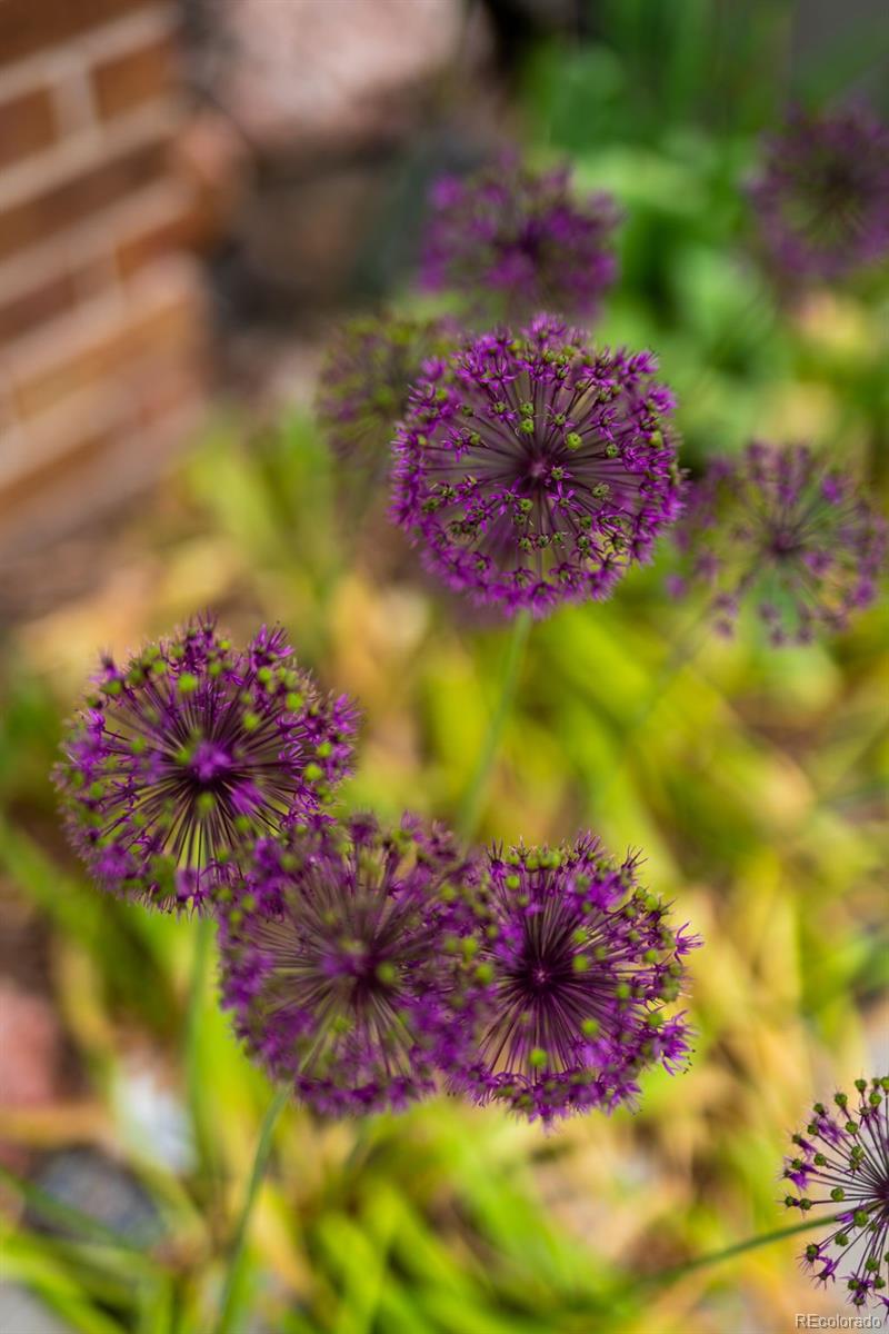 9502 W Hialeah Place