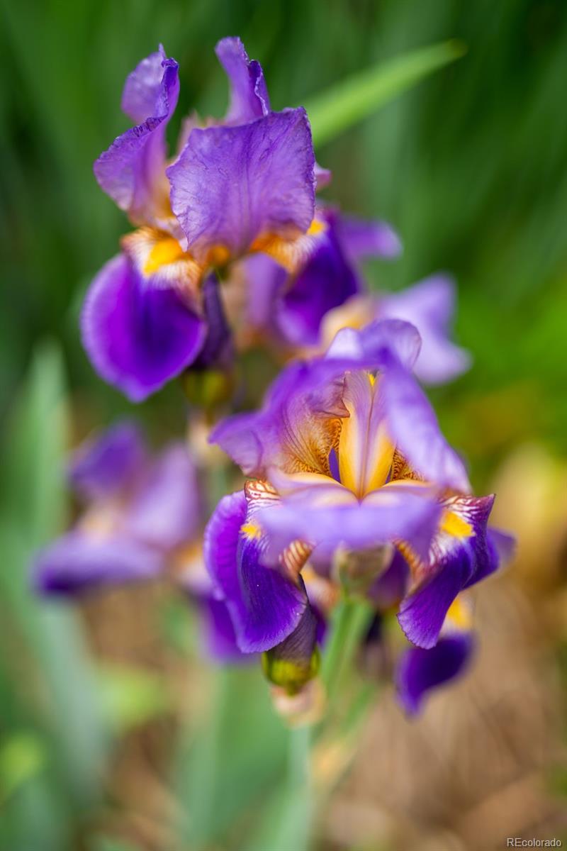 9502 W Hialeah Place