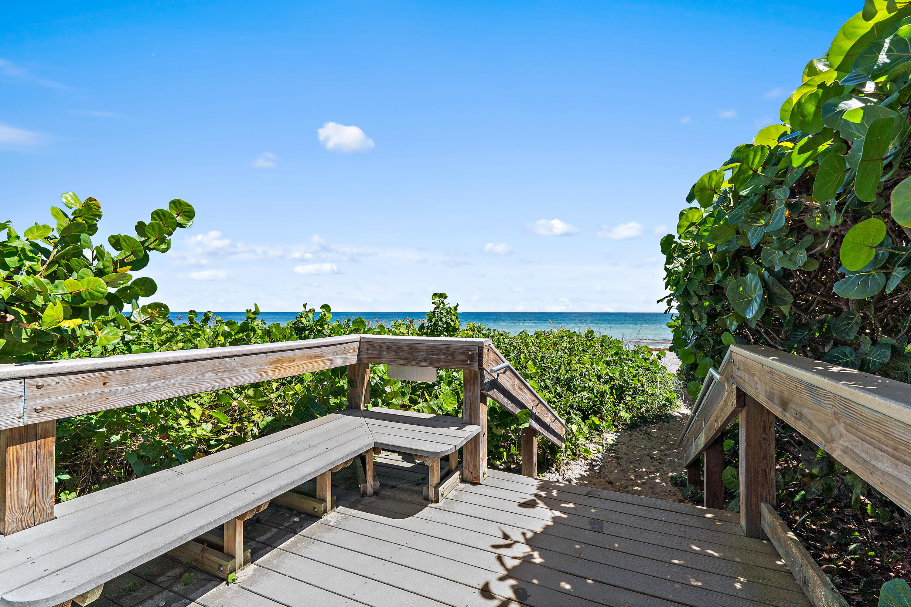 50 Celestial Way 310