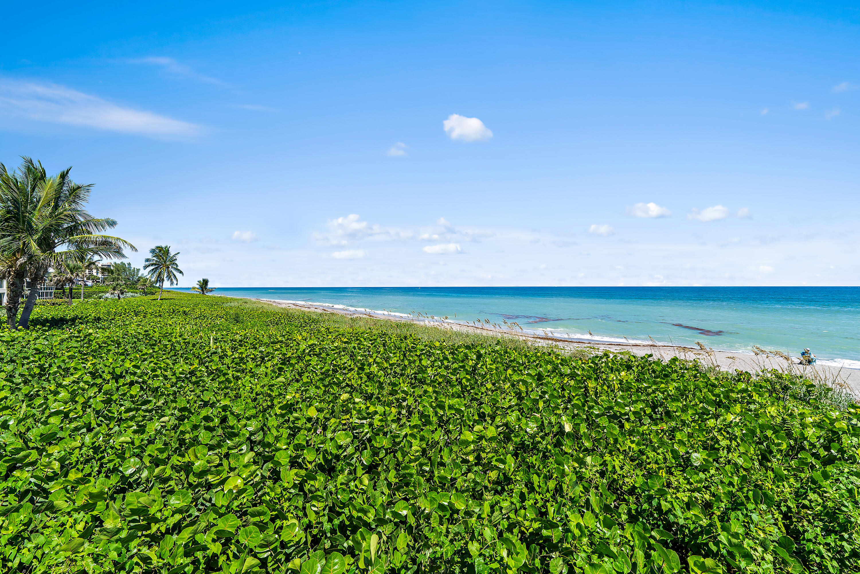 50 Celestial Way 310