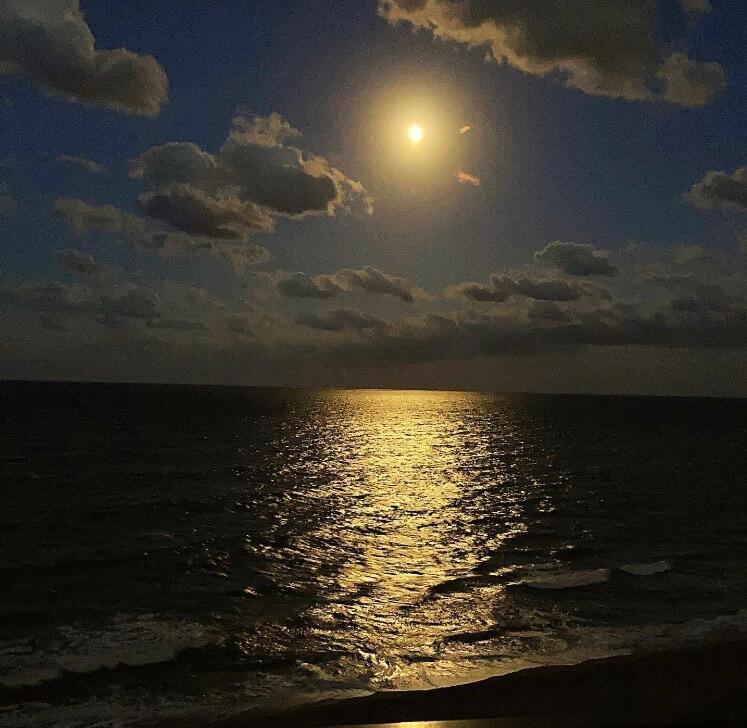 100 Beach Road Unit: 903