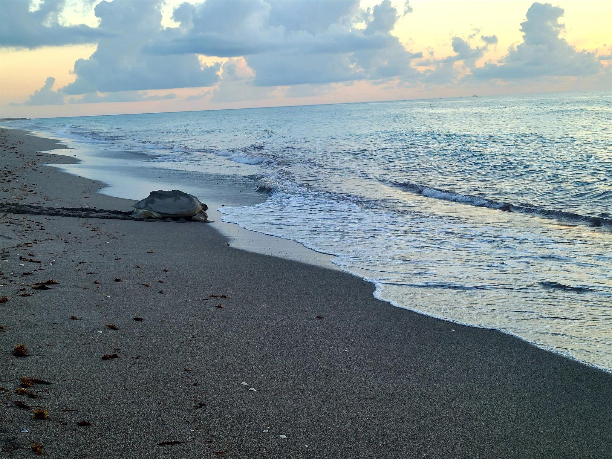 2050 S Highway A1a Unit: 3