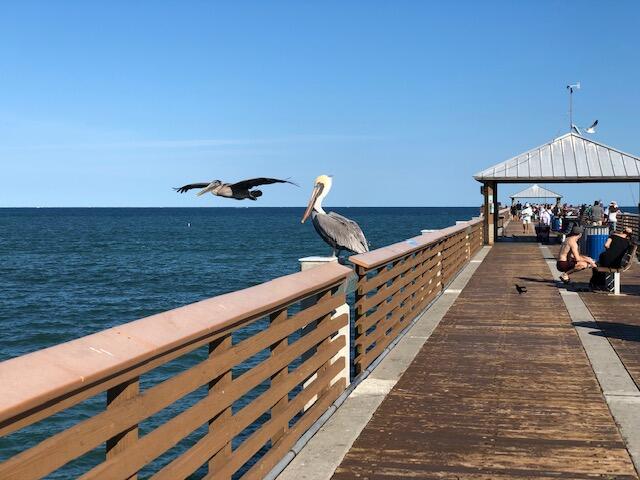 112 Cape Pointe Circle