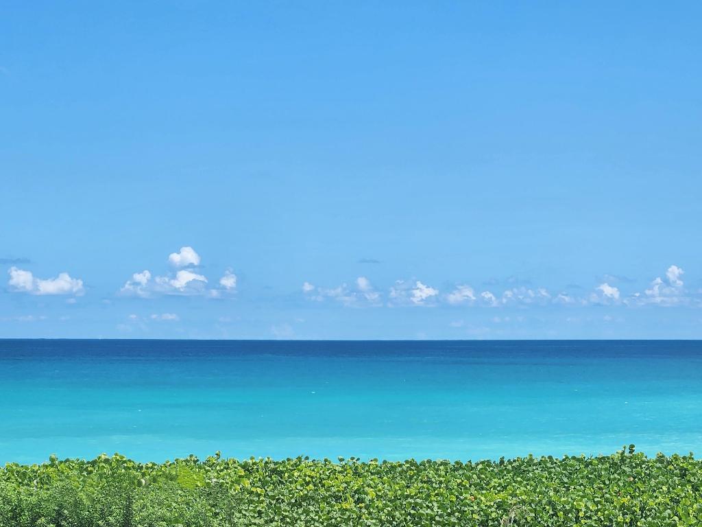 700 Ocean Royale Way Unit: 1202