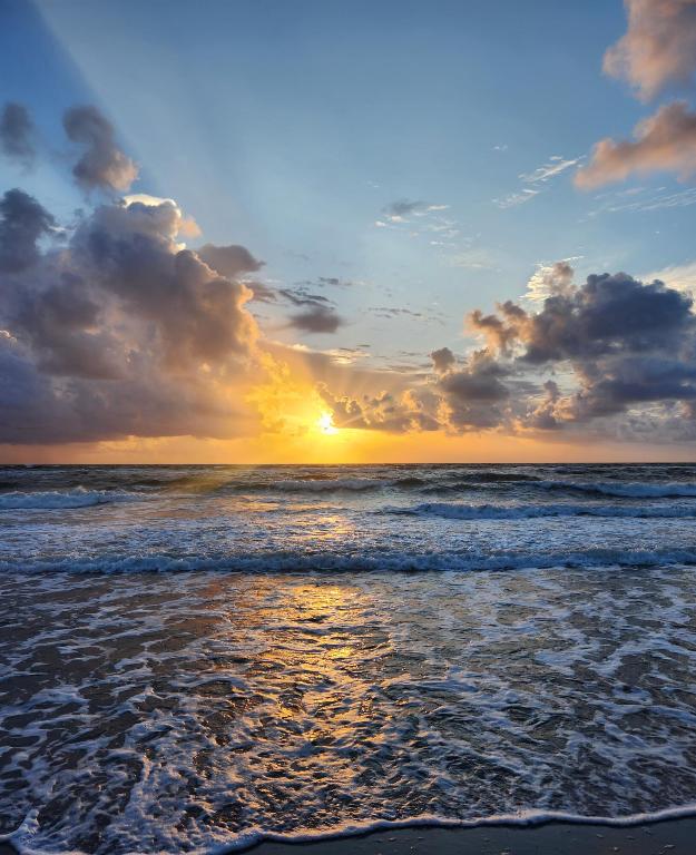 700 Ocean Royale Way Unit: 1202