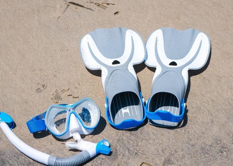 1542 Cove Drive 603c