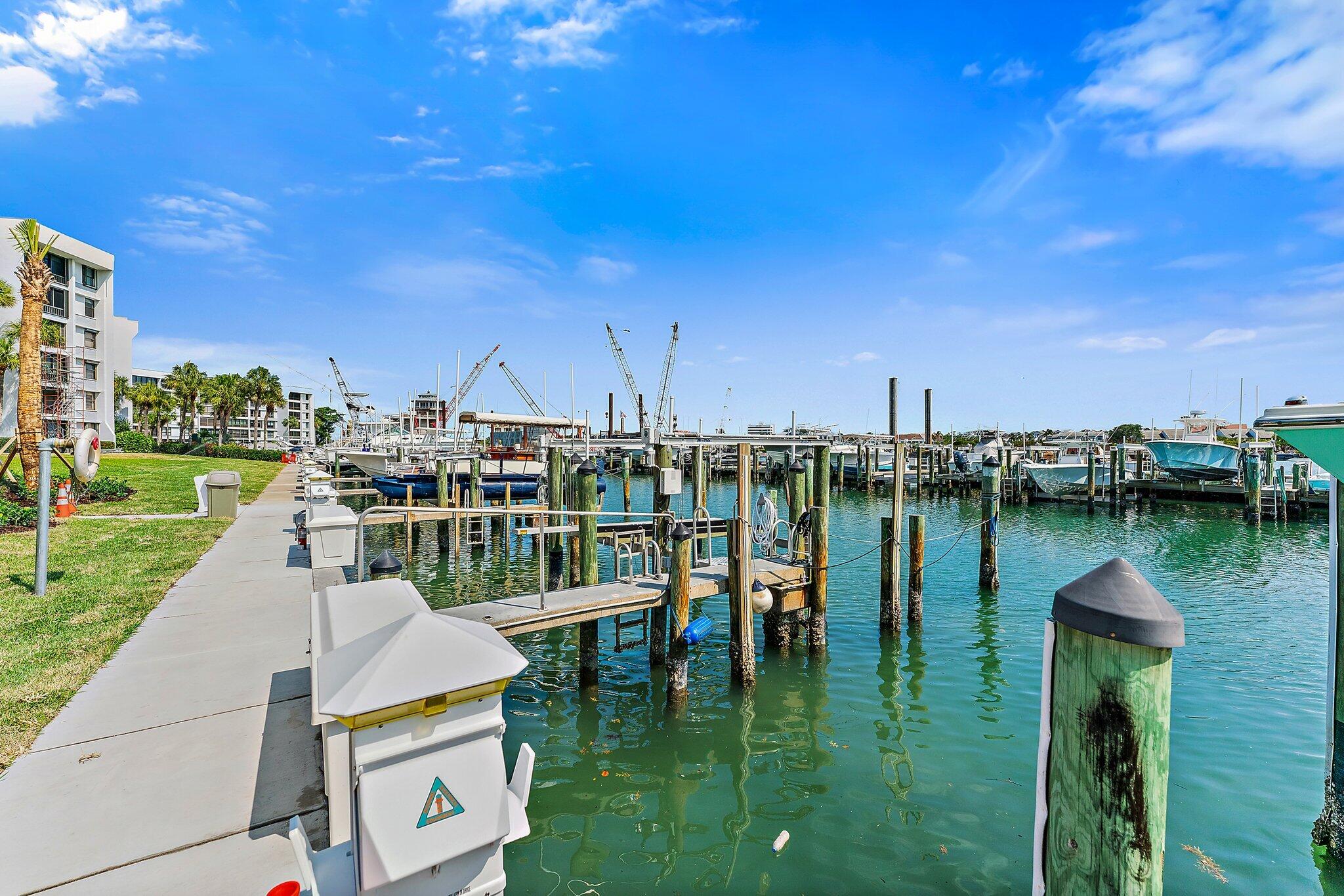 1542 Cove Drive 603c