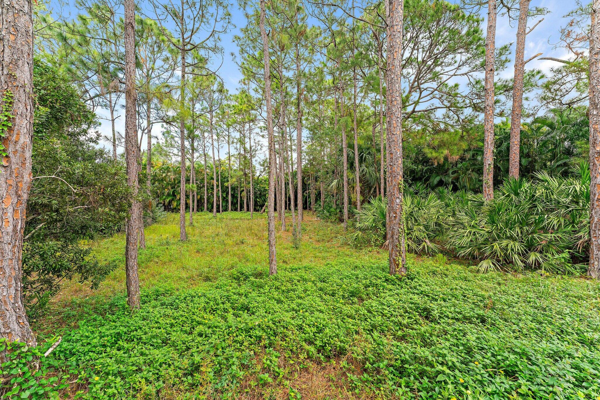 15784 Alexander Run