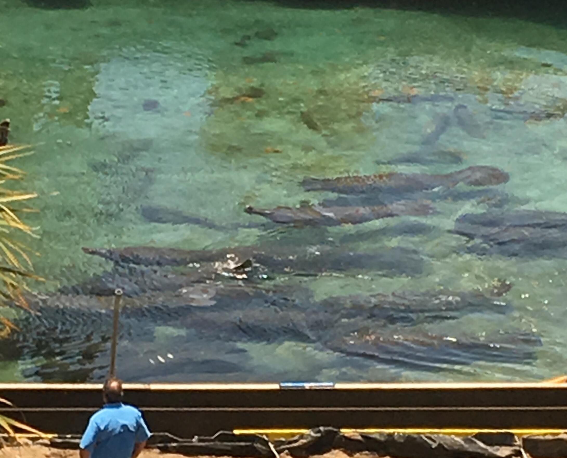 1542 Jupiter Cove Drive Unit: 607c