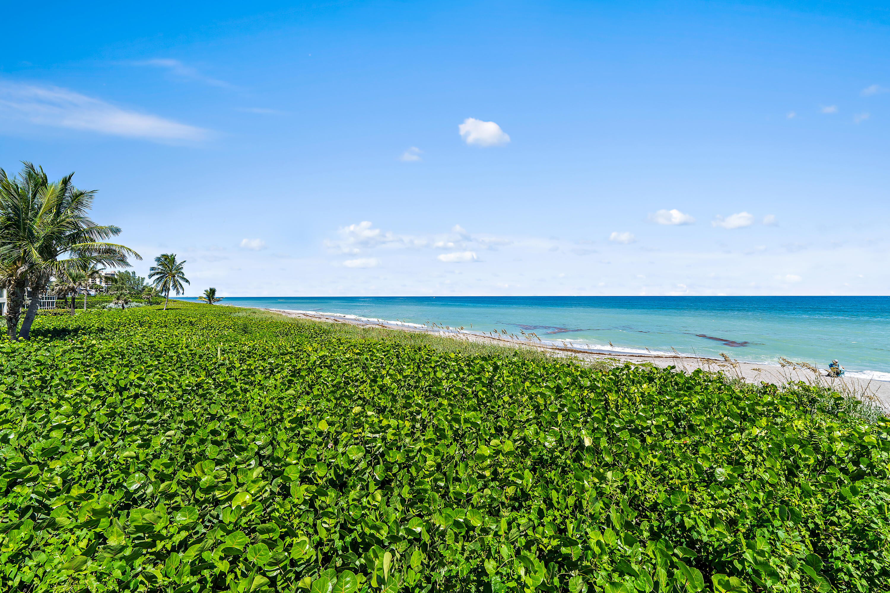 50 Celestial Way 310