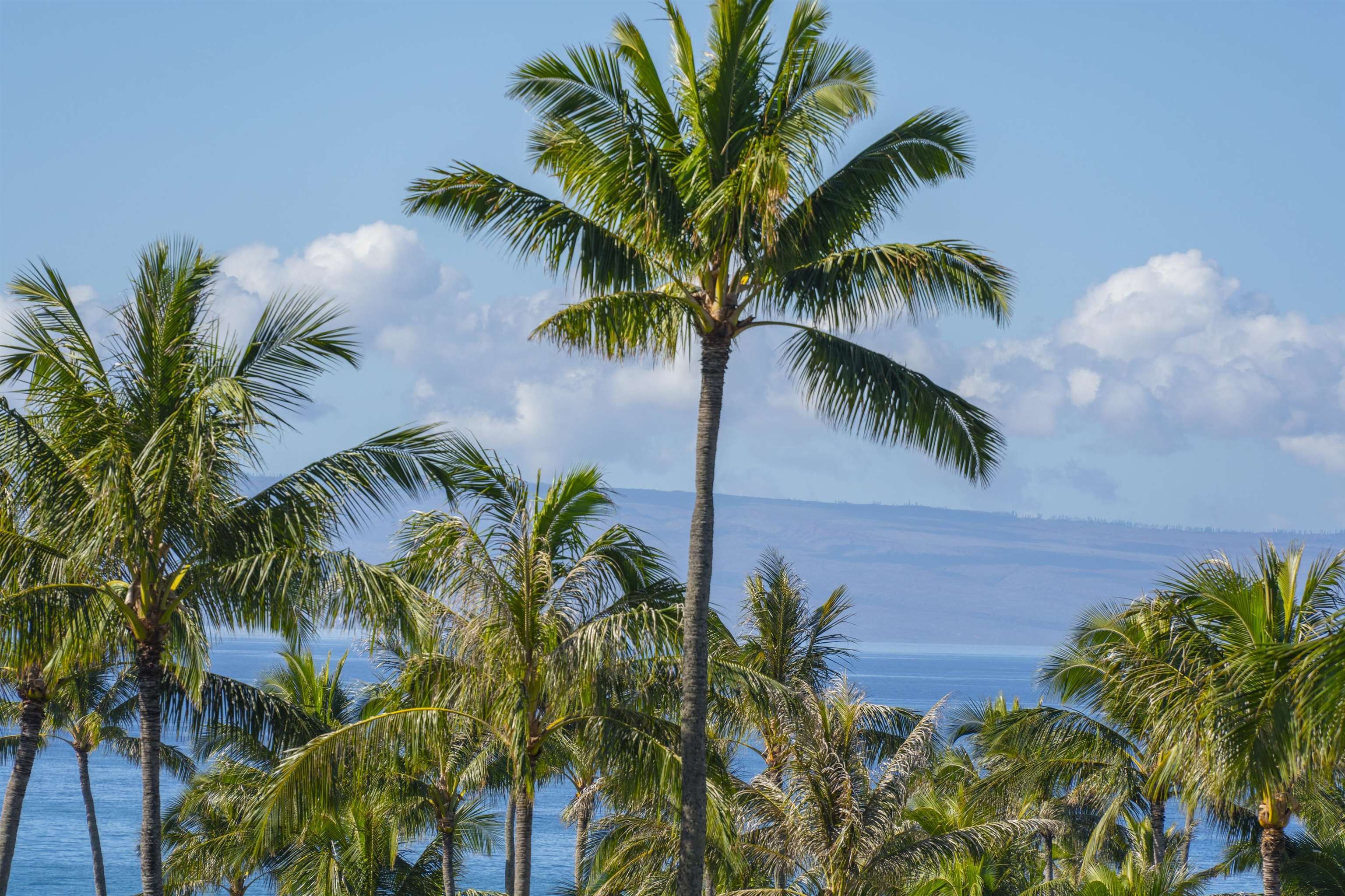 1 Bay DR Unit: 4304