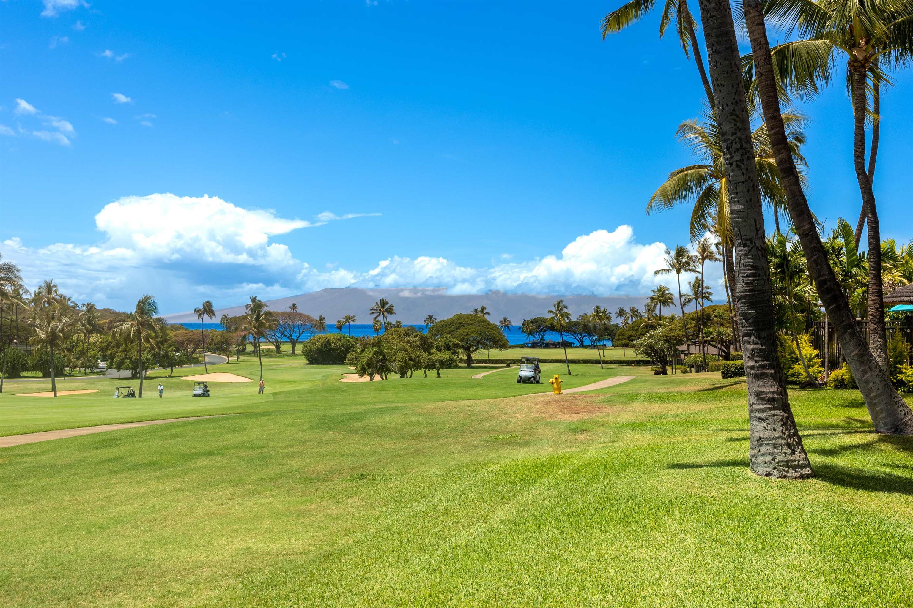 2661 Kekka Dr Unit: A-110