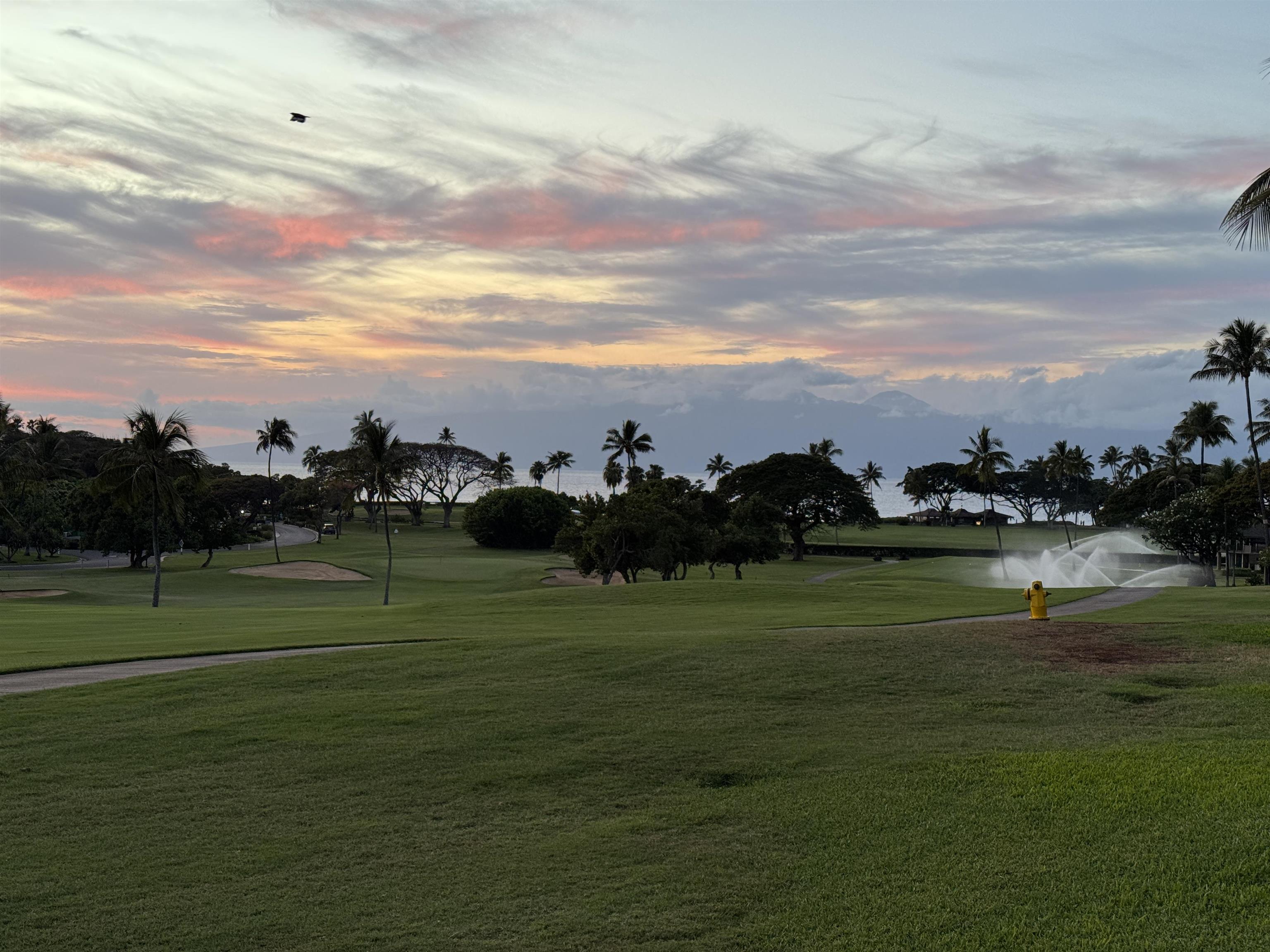 2661 Kekka Dr Unit: A-110