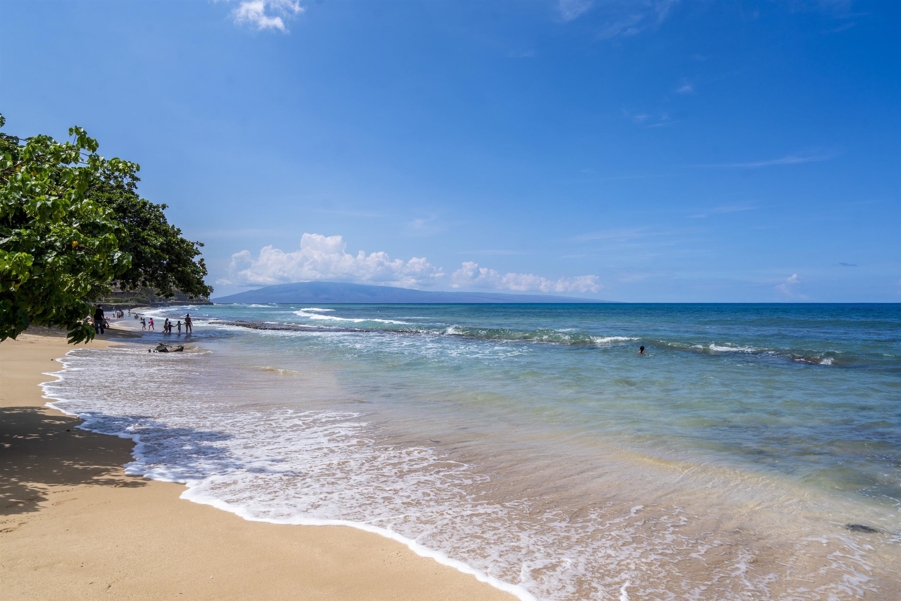 3740 Lower Honoapiilani Rd Unit: A306