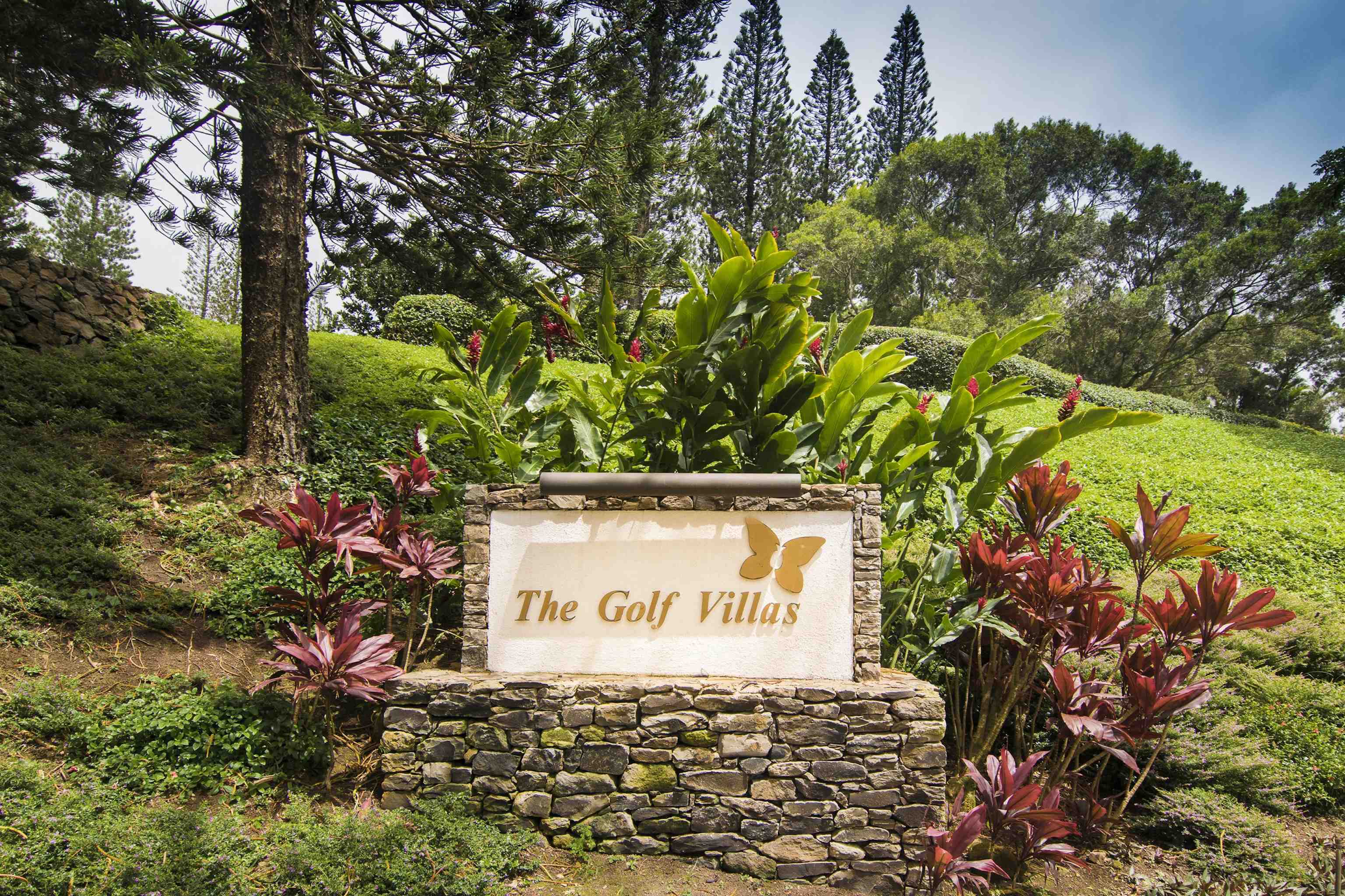 500 KAPALUA Dr Unit: 23P7-8