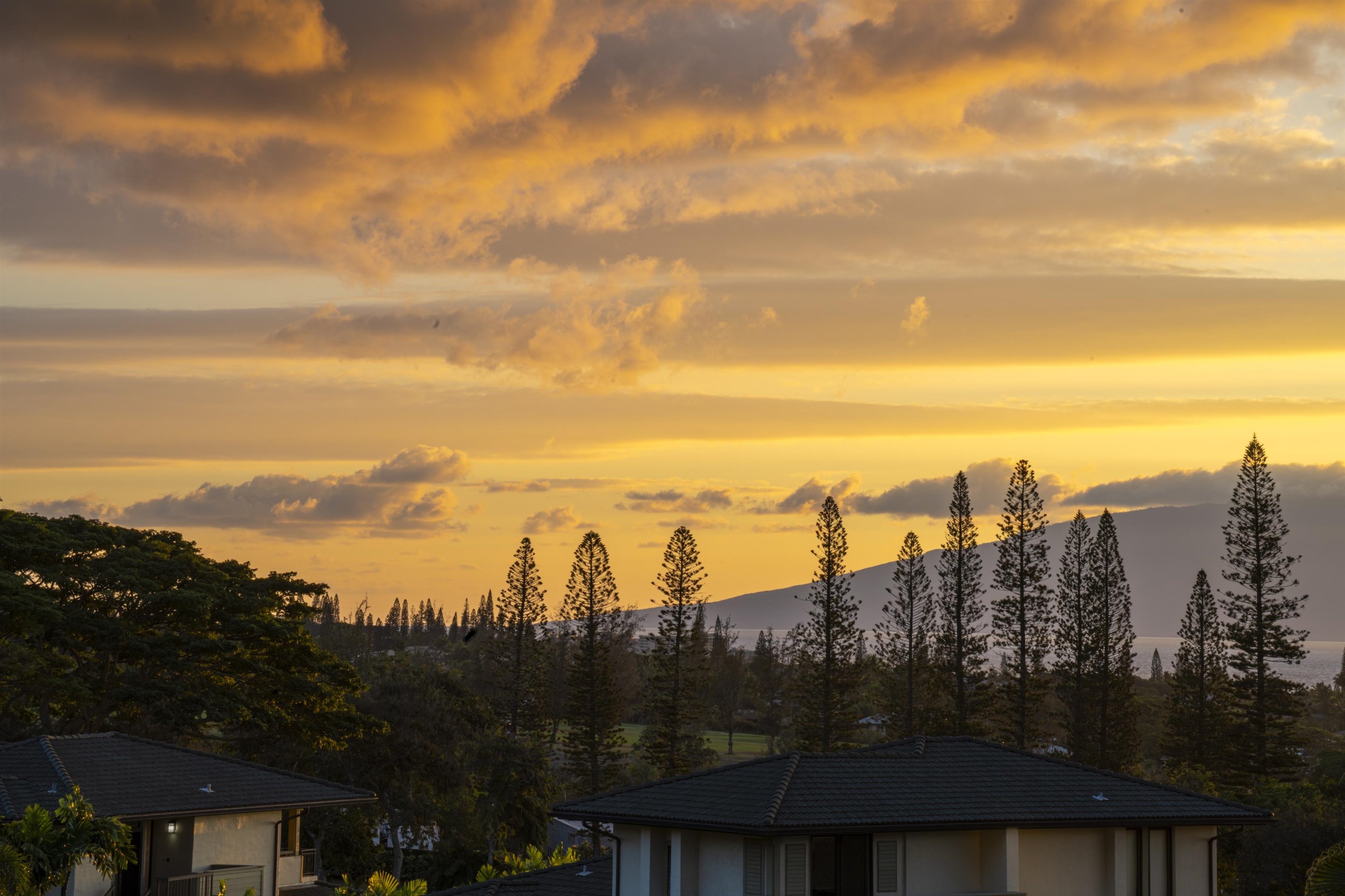 500 KAPALUA Dr Unit: 23P7-8