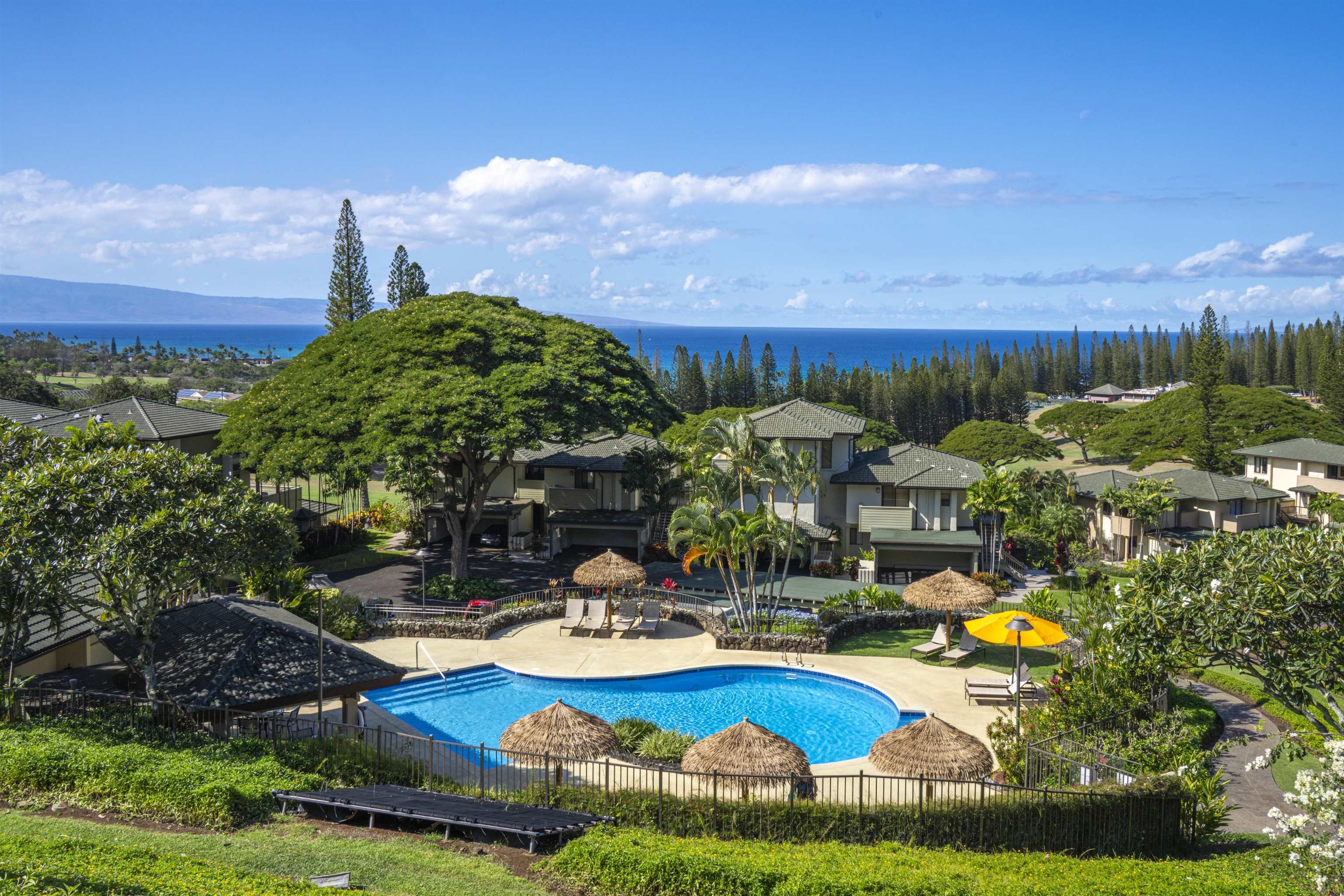 500 KAPALUA Dr Unit: 23P7-8