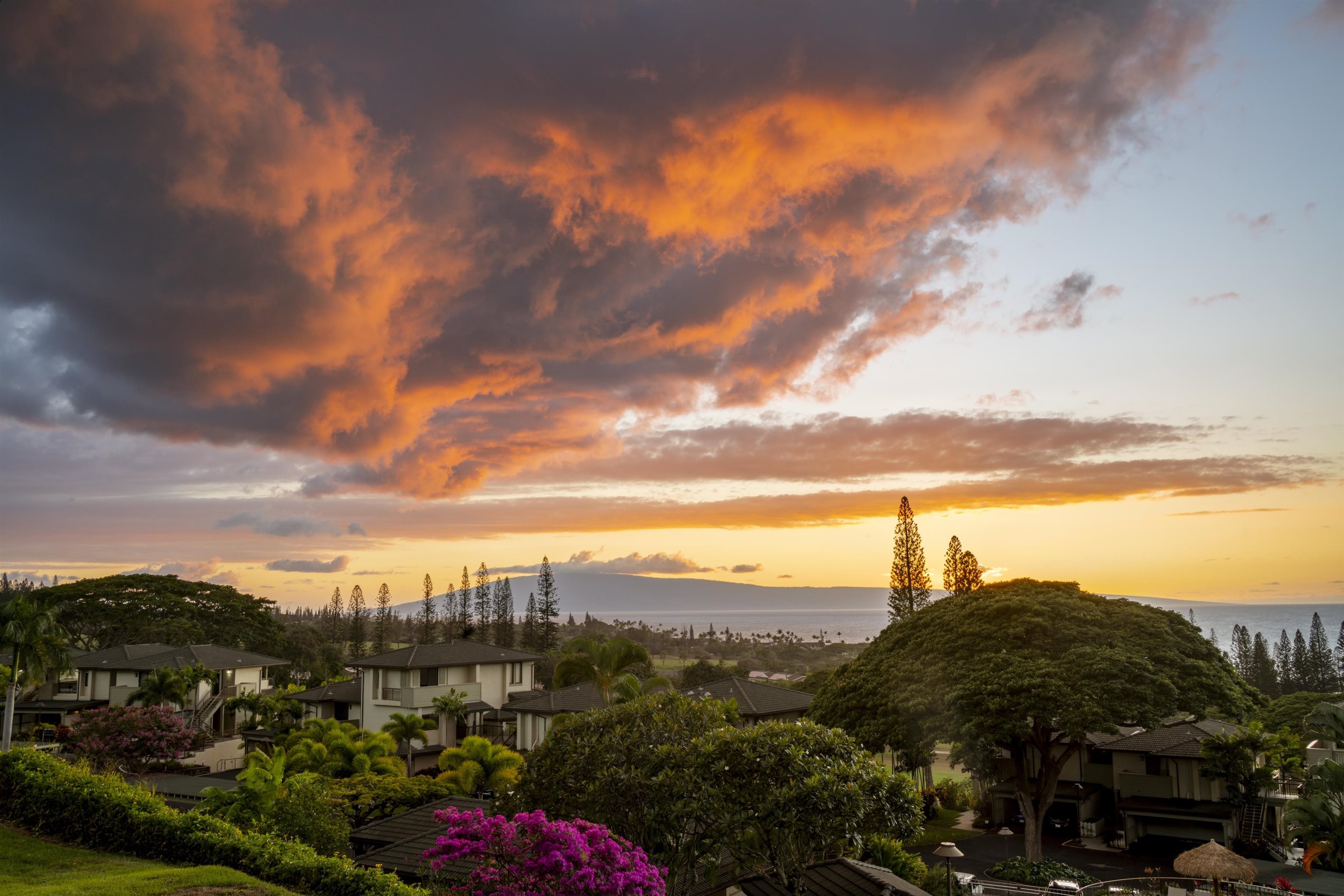 500 KAPALUA Dr Unit: 23P7-8