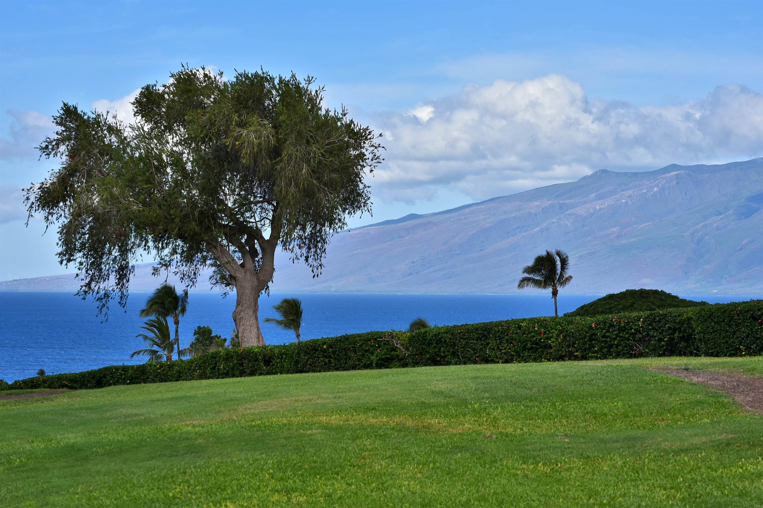 170 Kualapa Pl Unit: 70