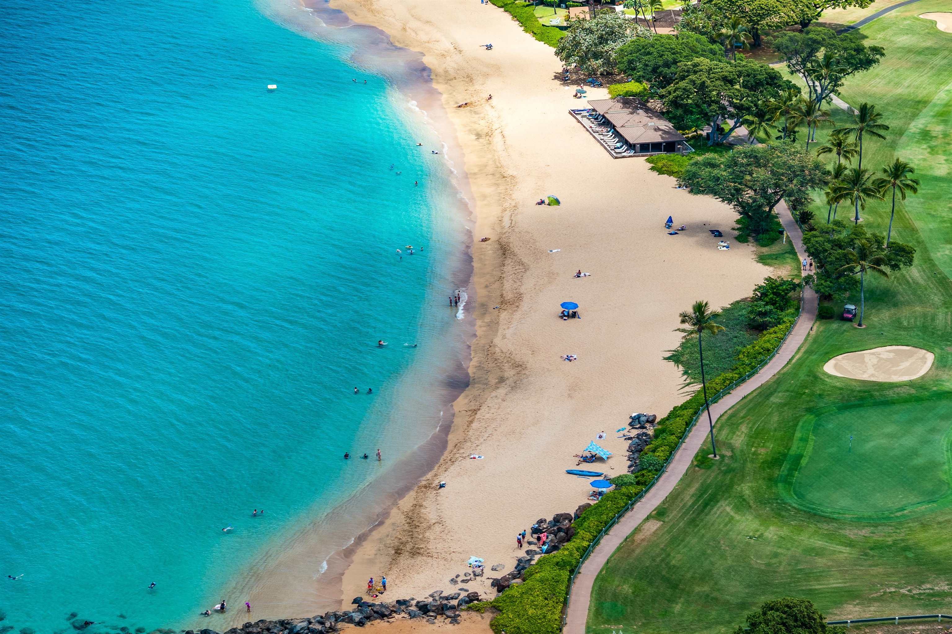 2661 KEKAA Dr Unit: K110