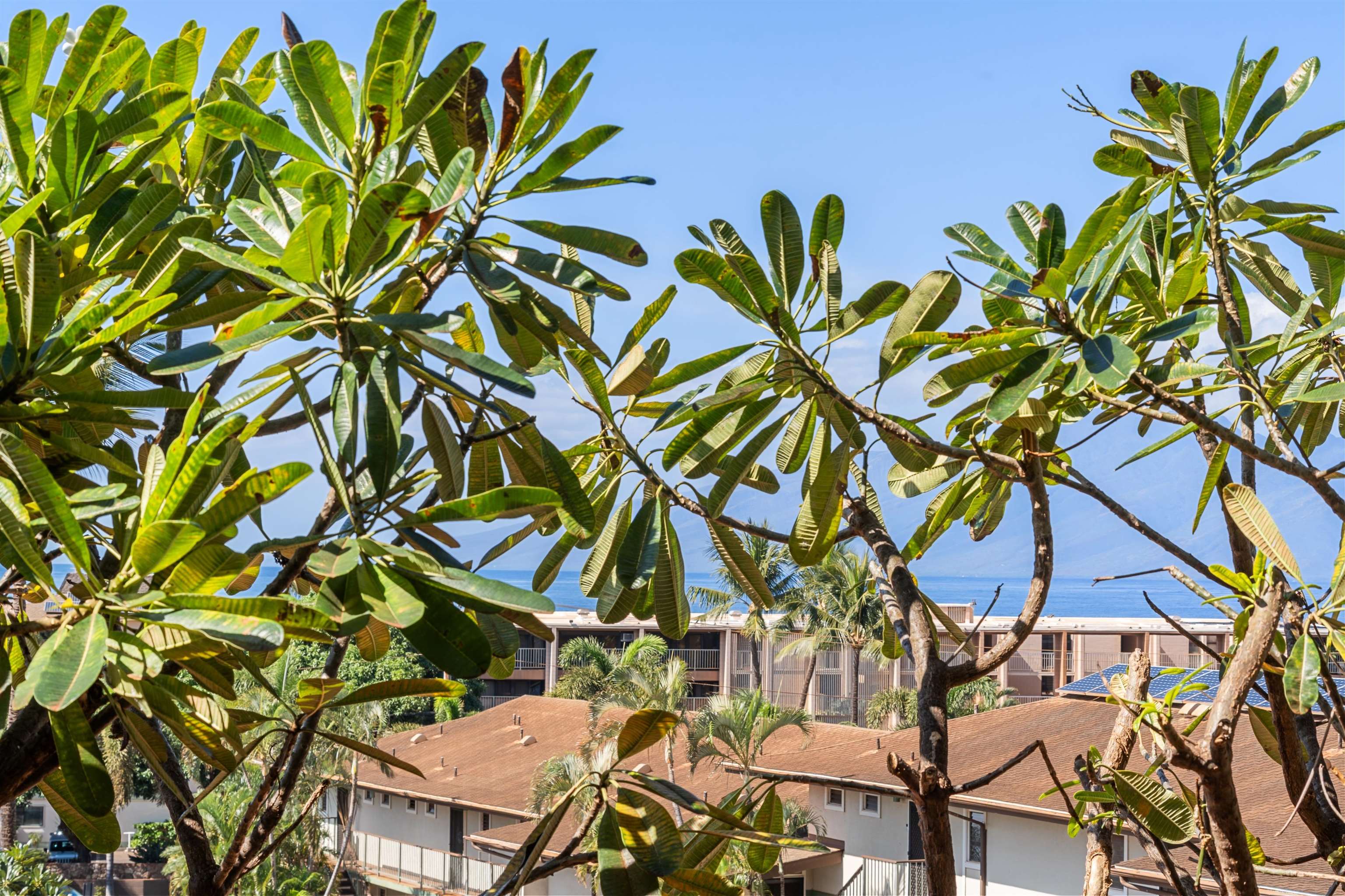 3740 Lower Honoapiilani Rd Unit: C207