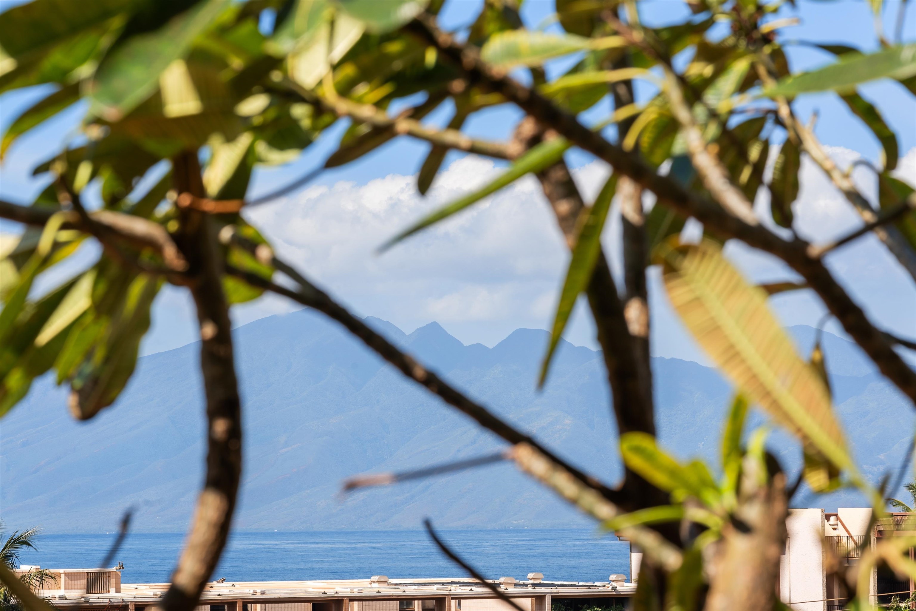 3740 Lower Honoapiilani Rd Unit: C207