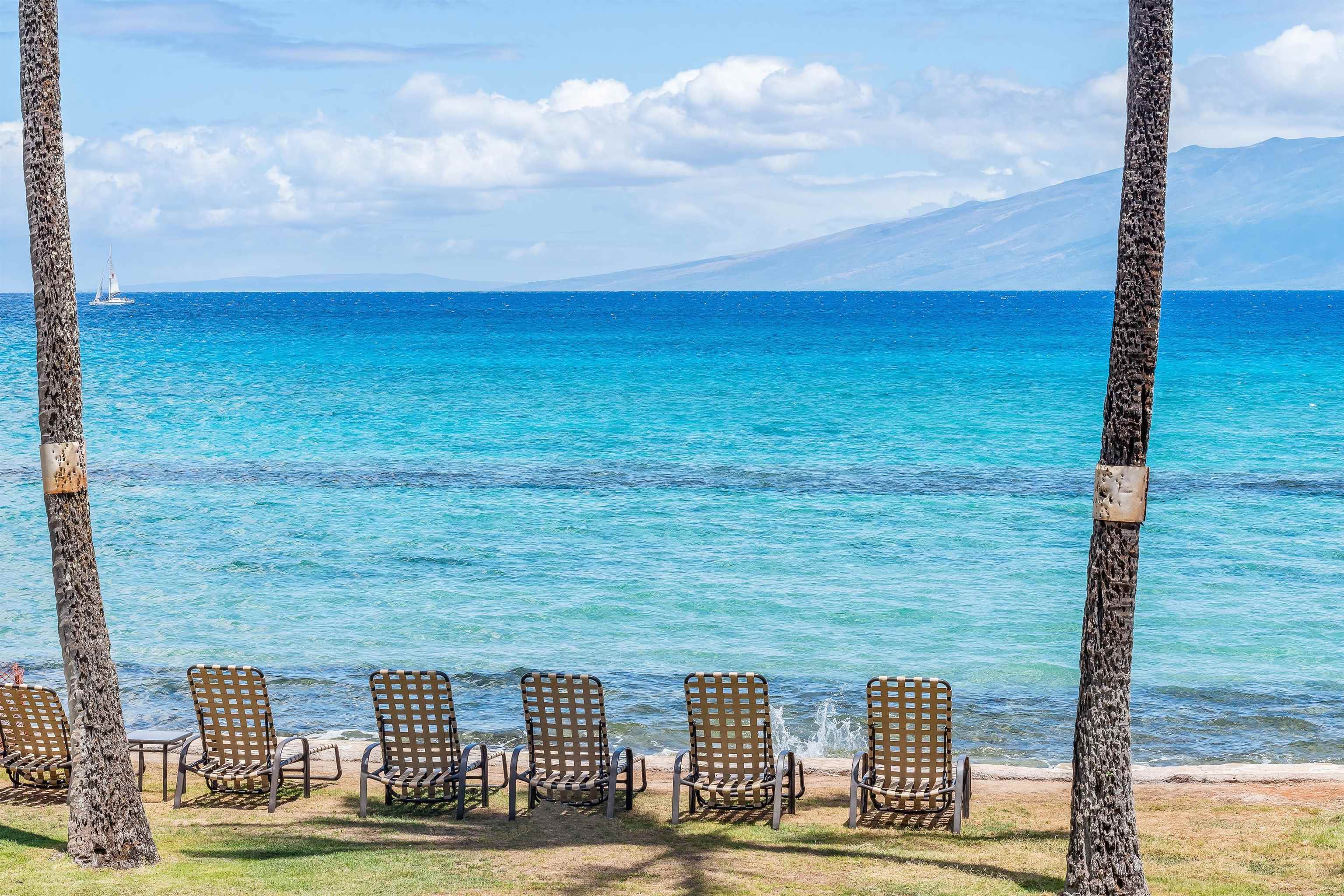 3615 Lower Honoapiilani Rd Unit: 123