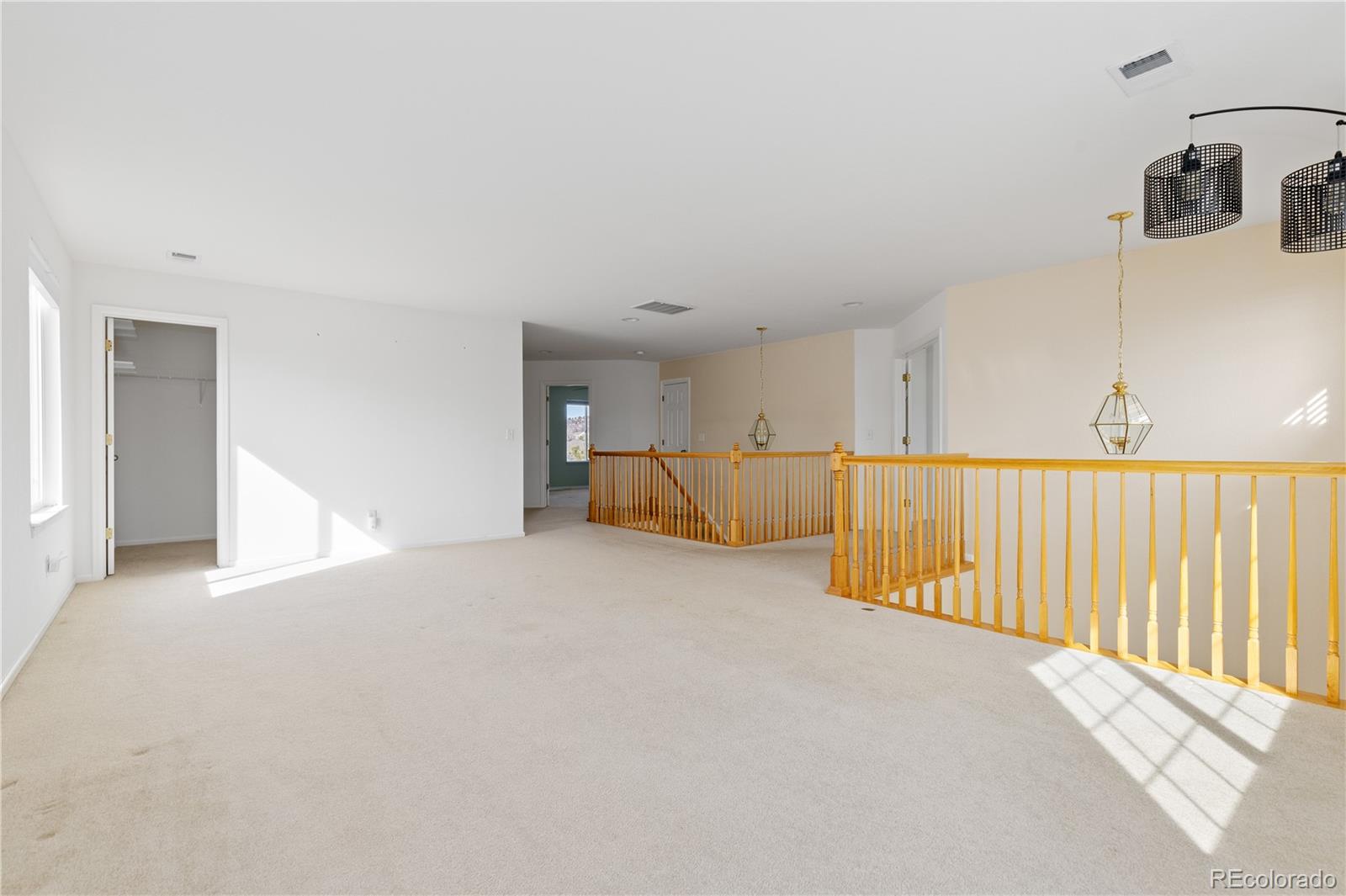 4133 Black Feather Trail