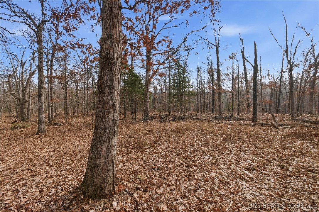 280 Quantrill Hollow Road