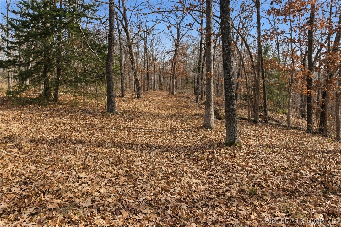 280 Quantrill Hollow Road