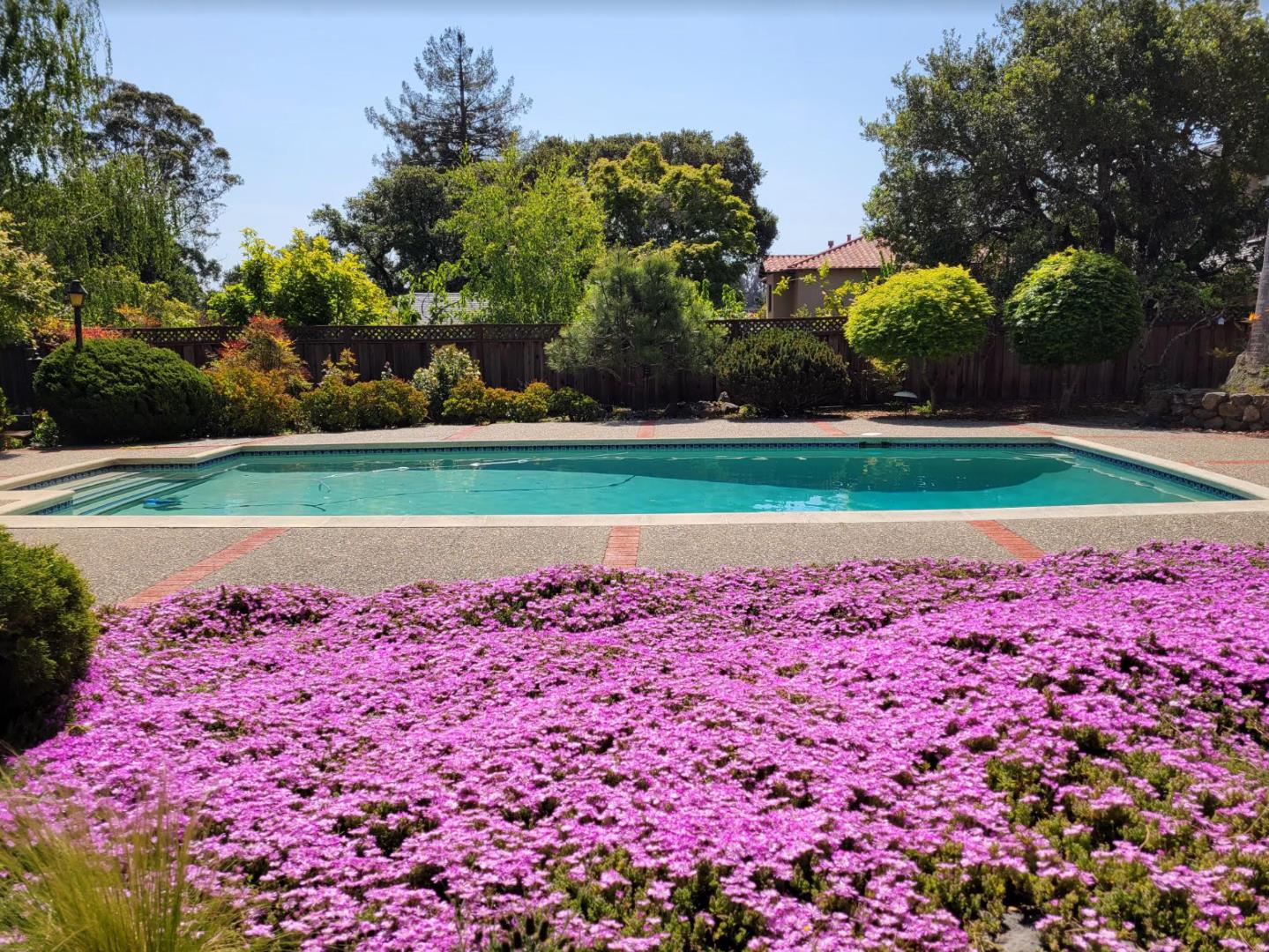 125 Alturas DR