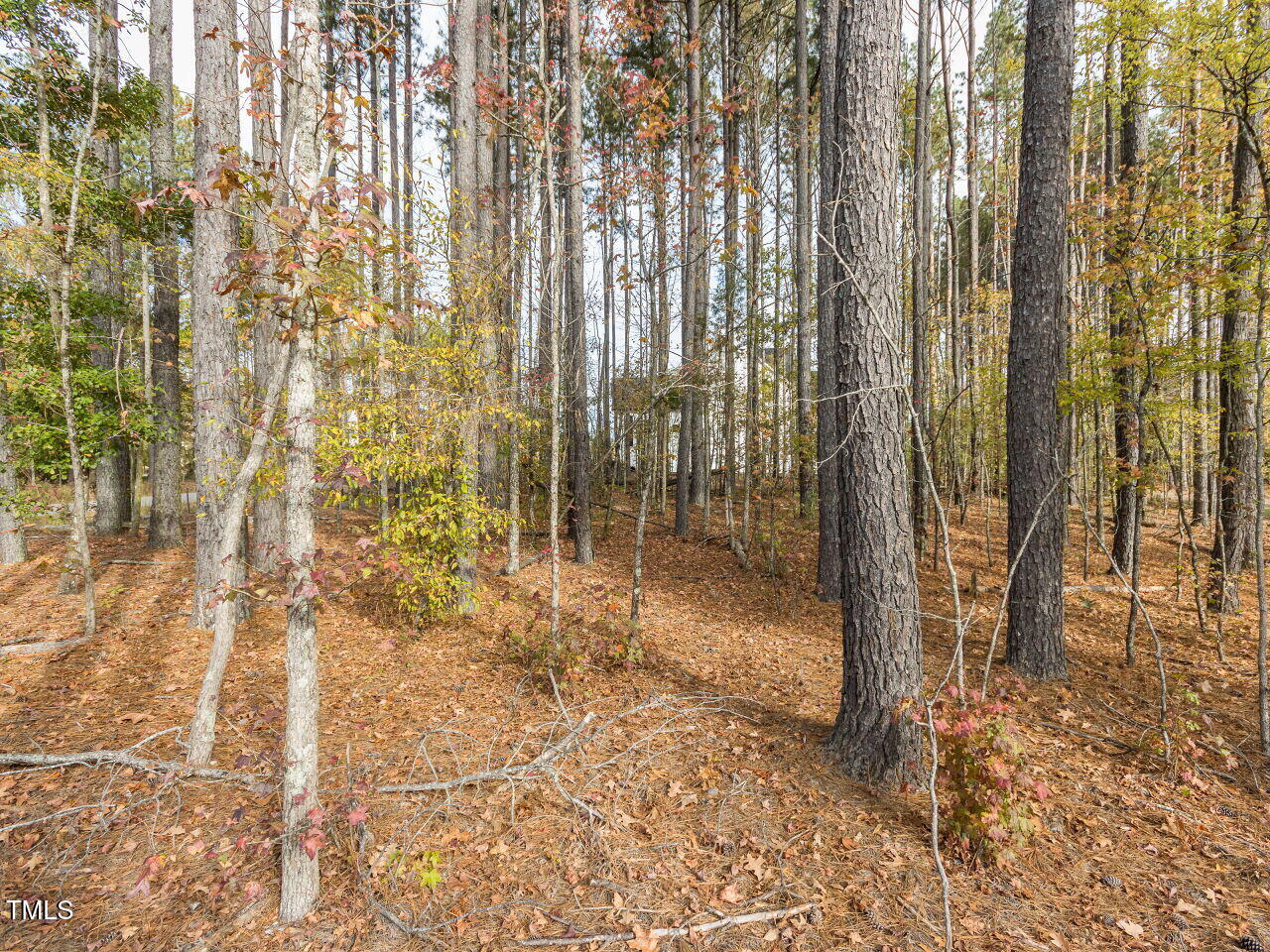 422 Colvard Woods Way