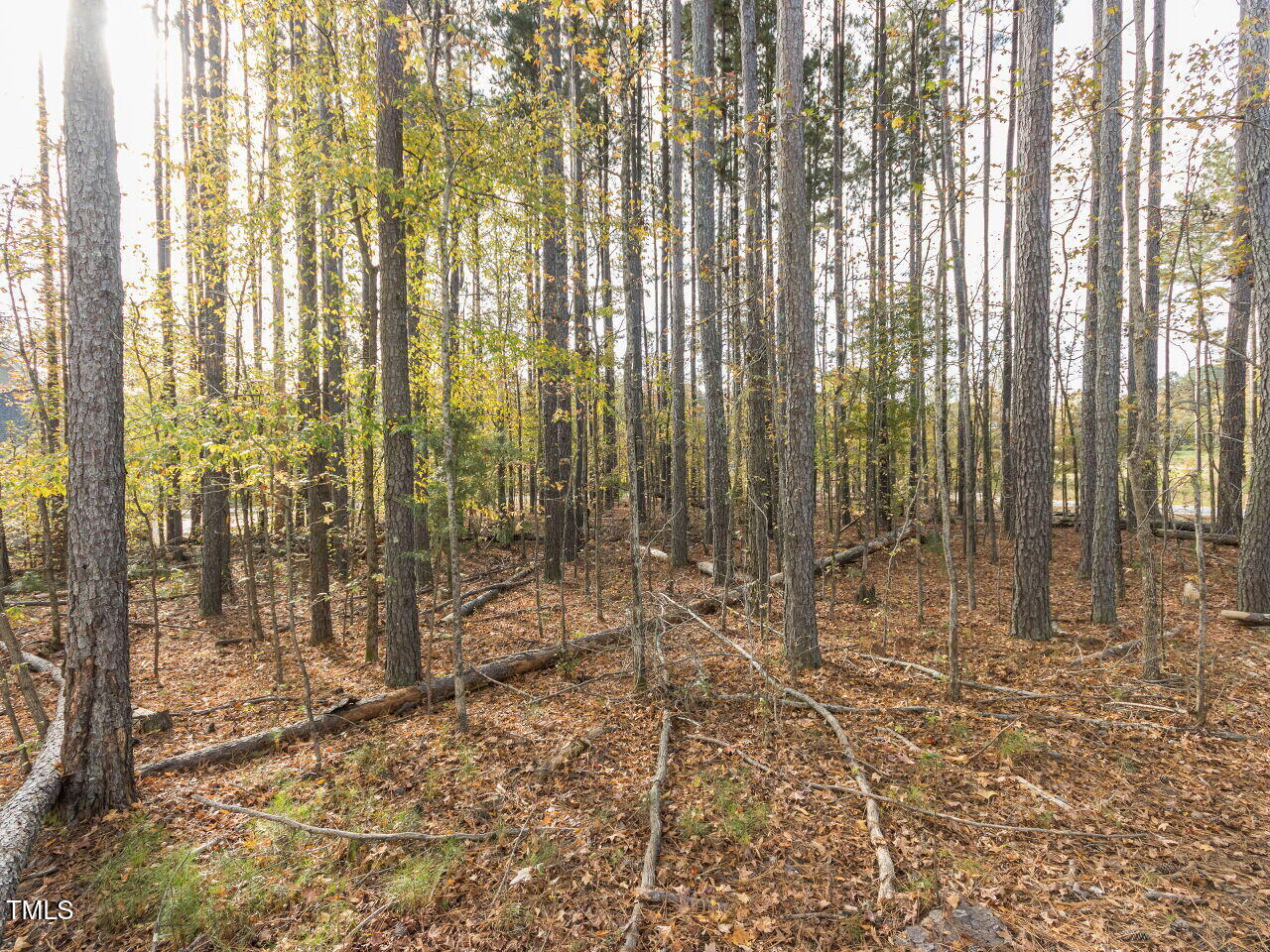422 Colvard Woods Way