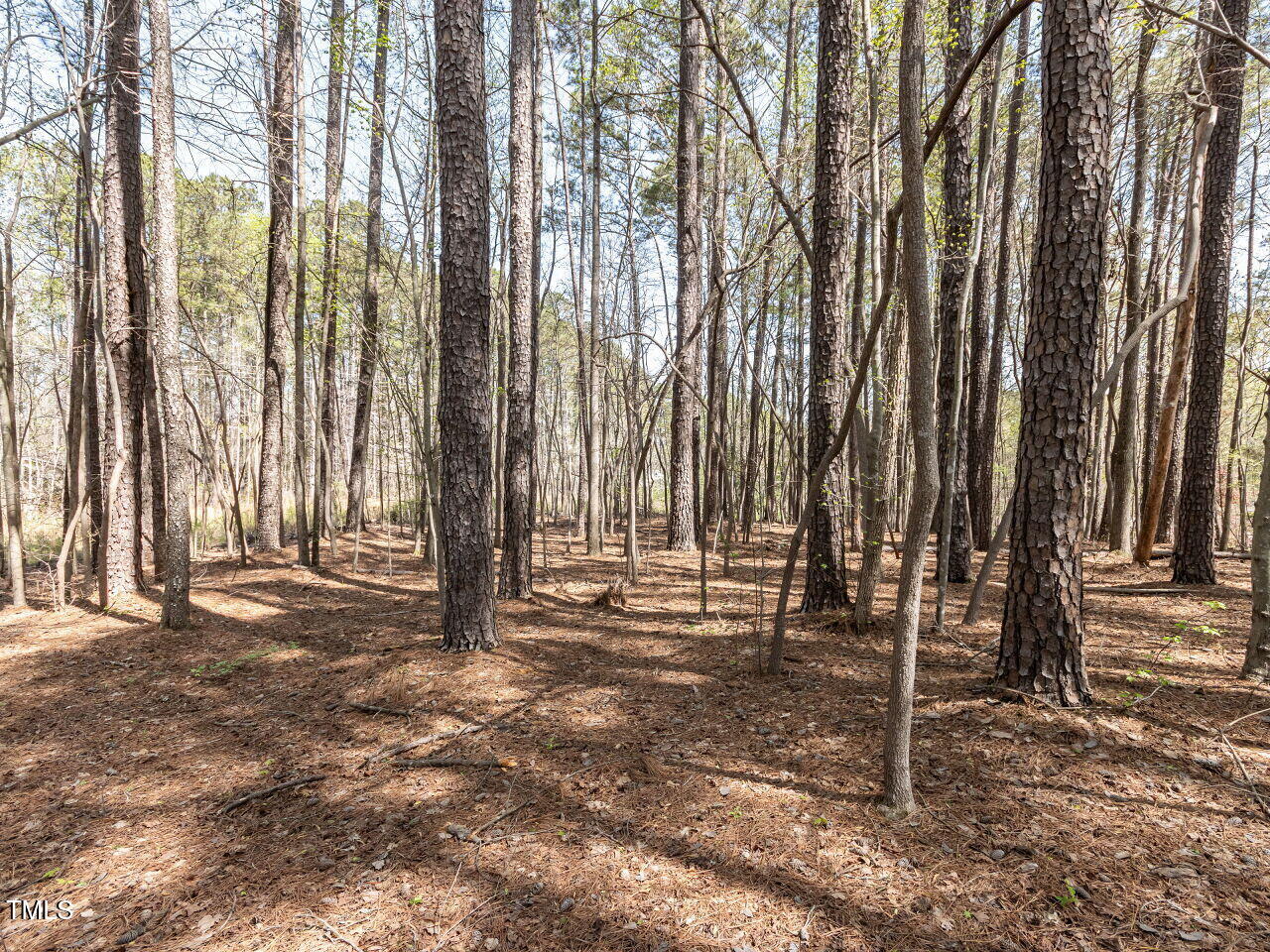 6216 Woodmark Trail