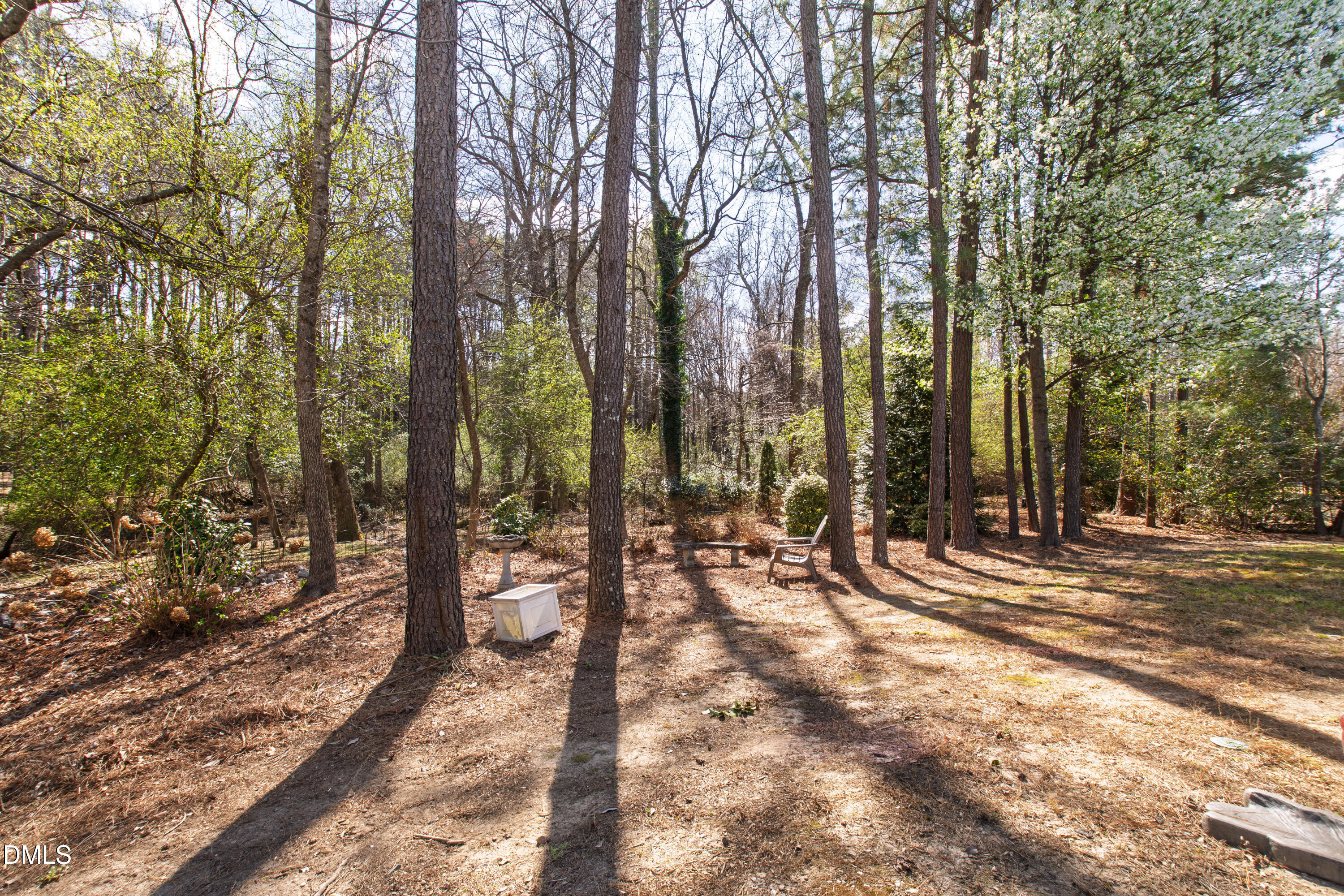 405 Pine Burr Street