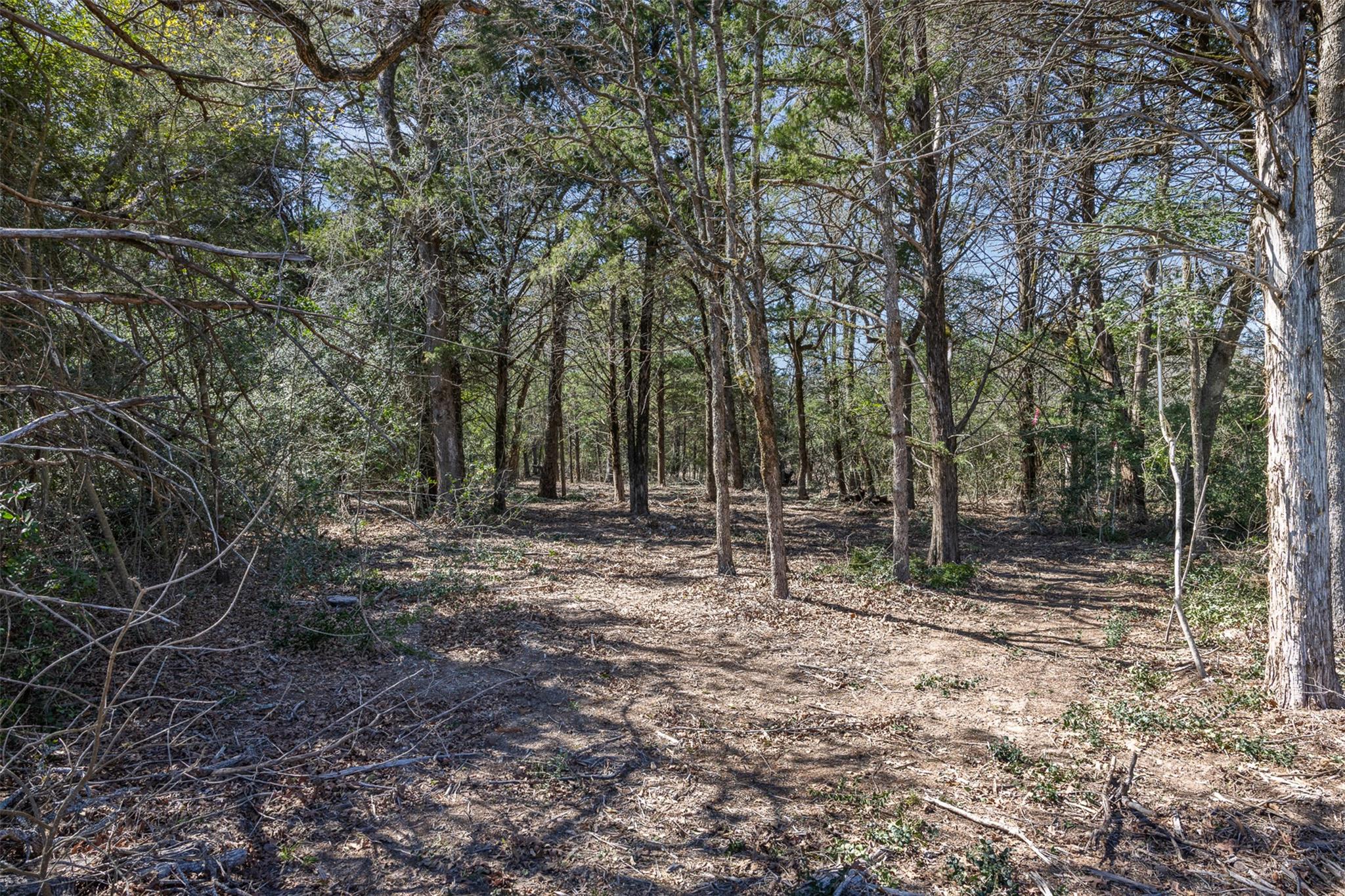 Lot 2 (4.81 Acres) Pauline LN