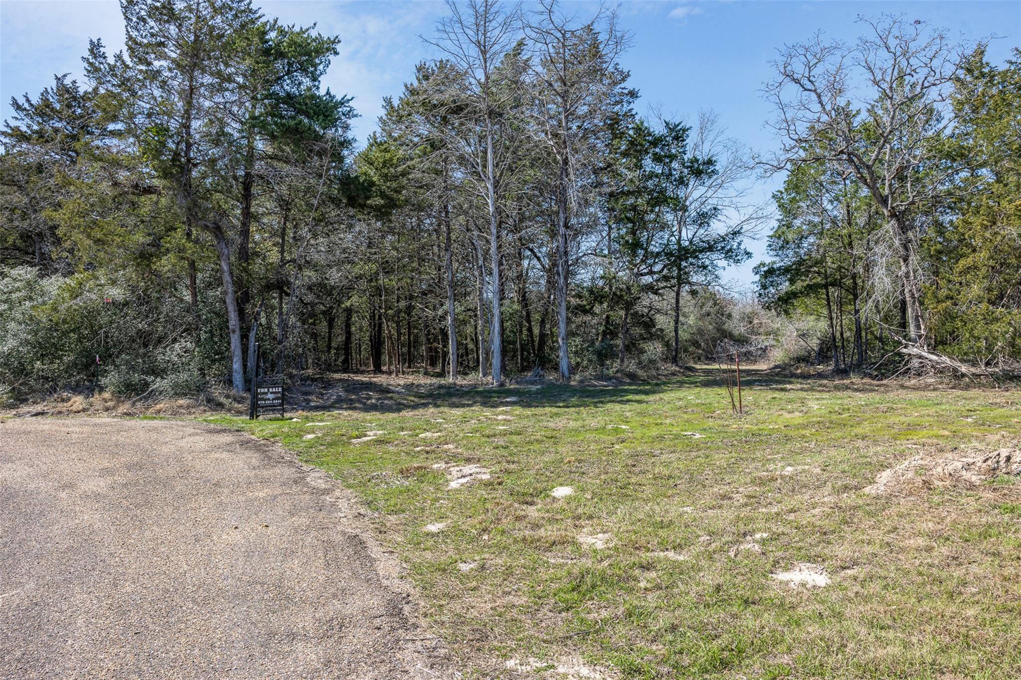 Lot 2 (4.81 Acres) Pauline LN