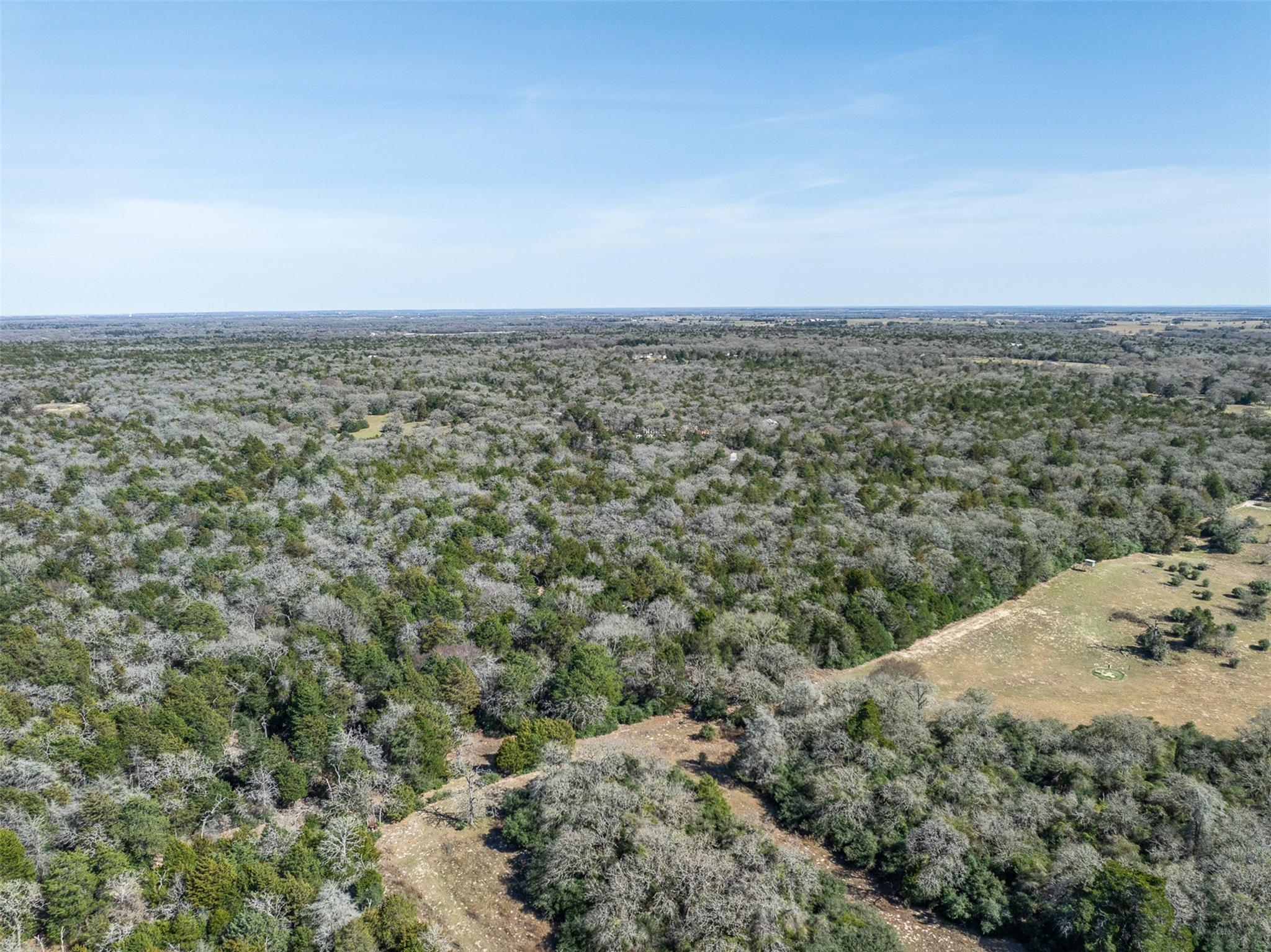 Lot 2 (4.81 Acres) Pauline LN